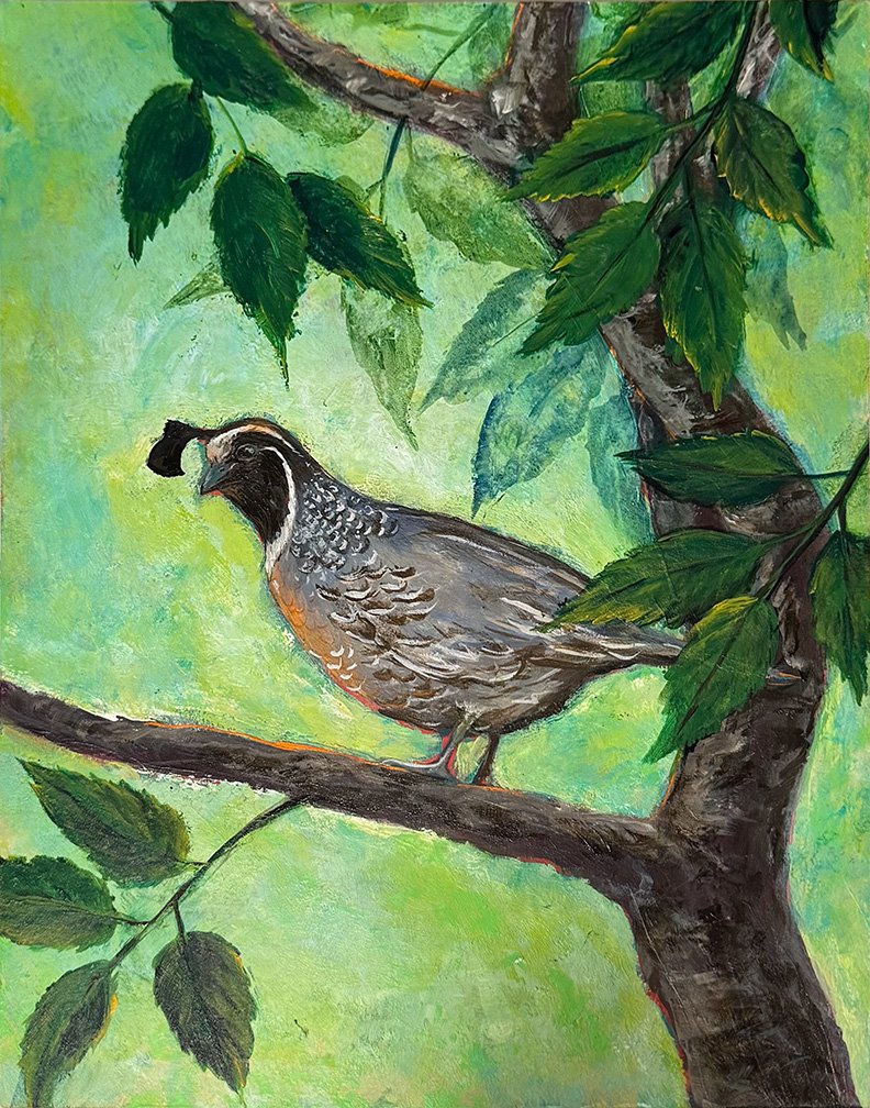 Quail