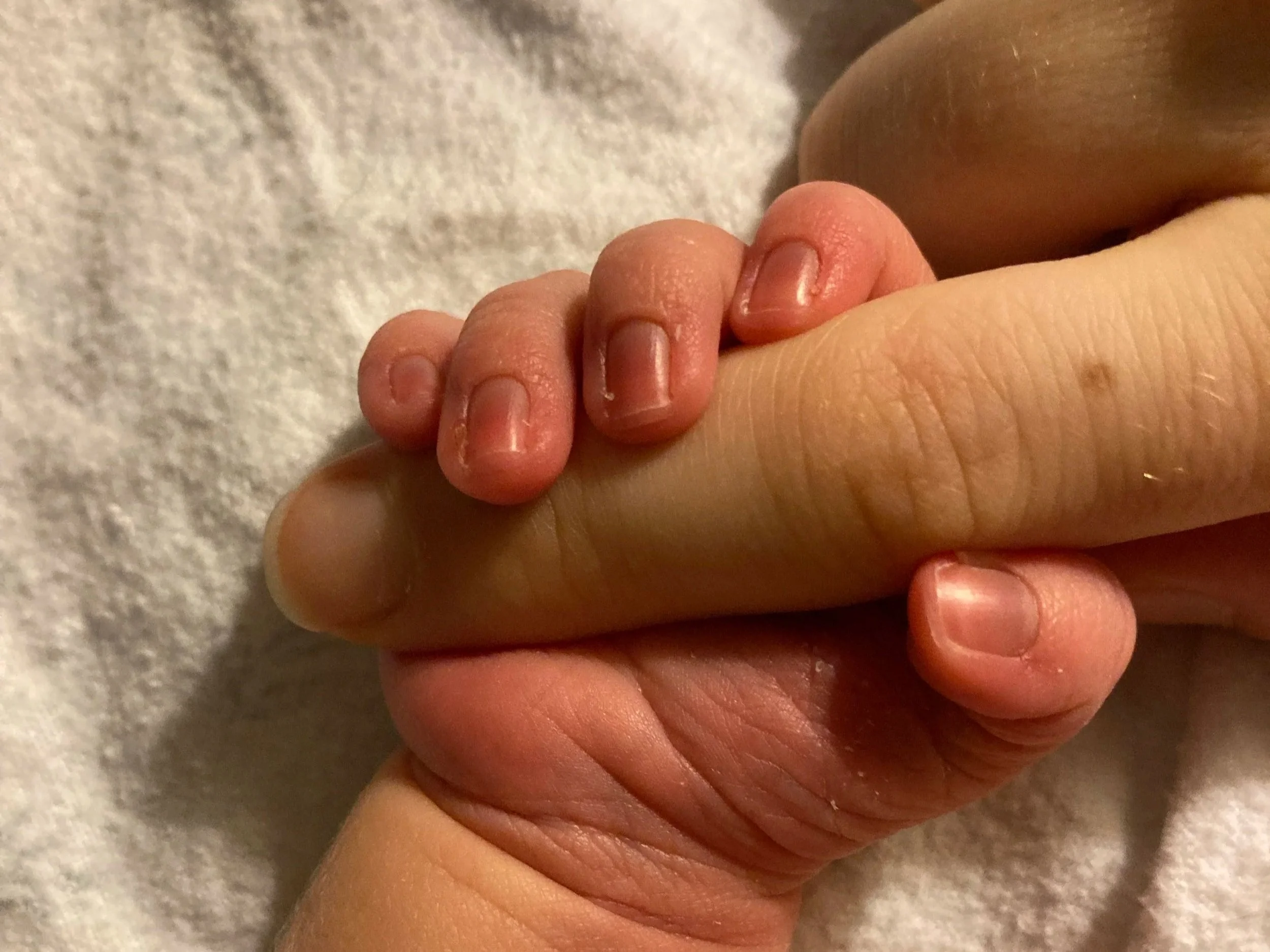 postpartum boundaries