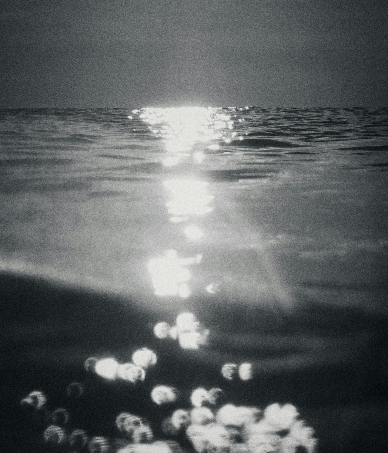DTS_Open_Water_Copson_London_Photos_ID5559.jpg