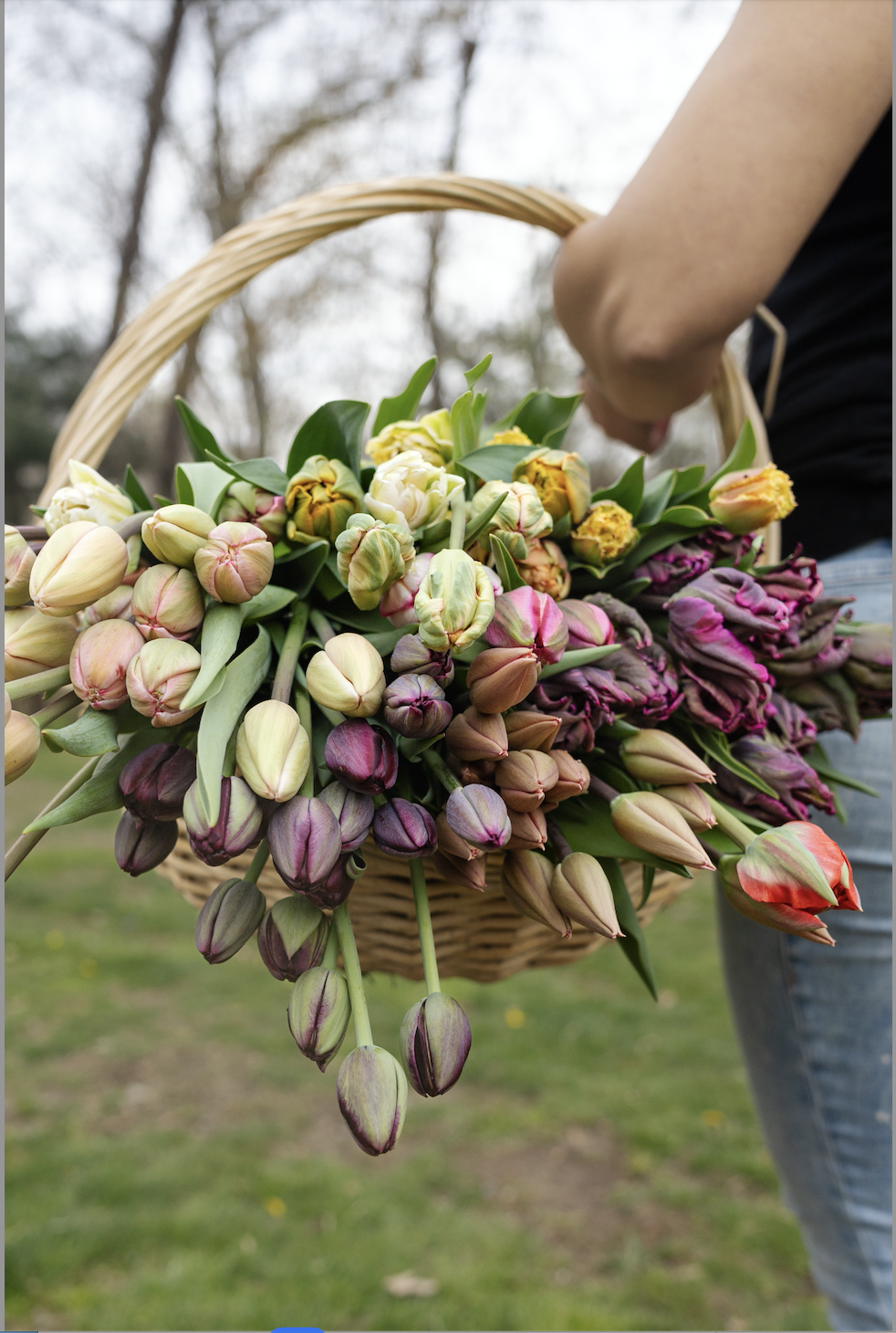 Screen Shot 2025-03-07 at 1.31.36 PM.png