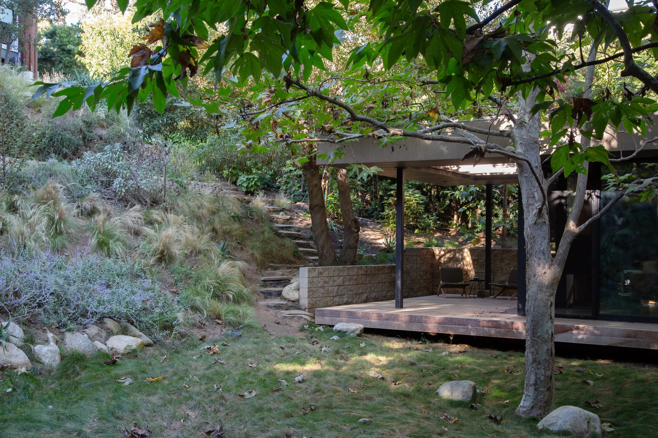 SW Studio exterior with sycamore