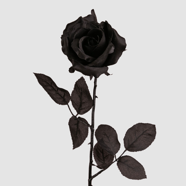 S913-BK+copy+4-2.png