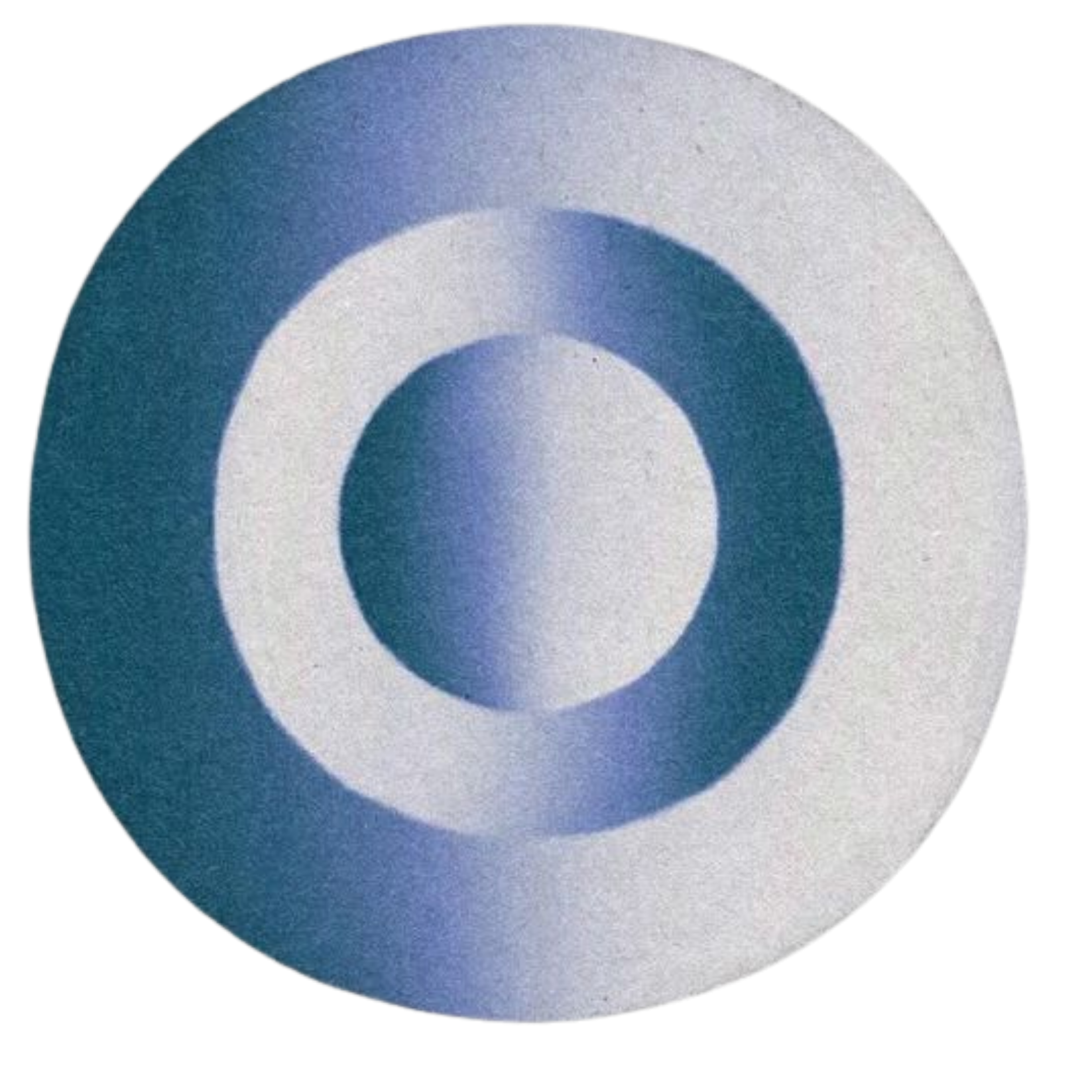 A round target with concentric circles in shades of blue and white.