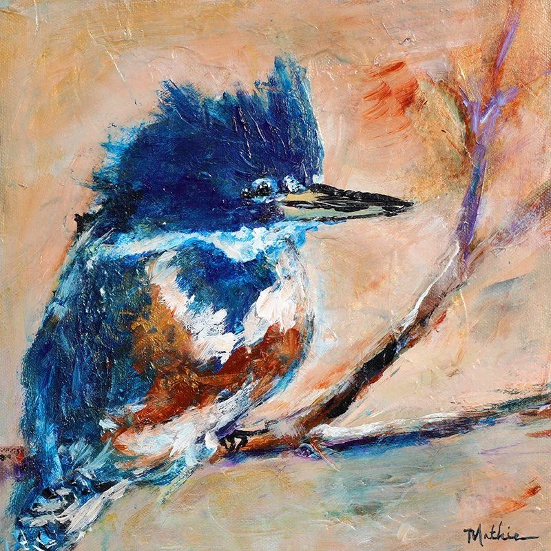 Christopher Mathie 
 Kingfisher VIII  
acrylic on canvas 
10x10 
$595