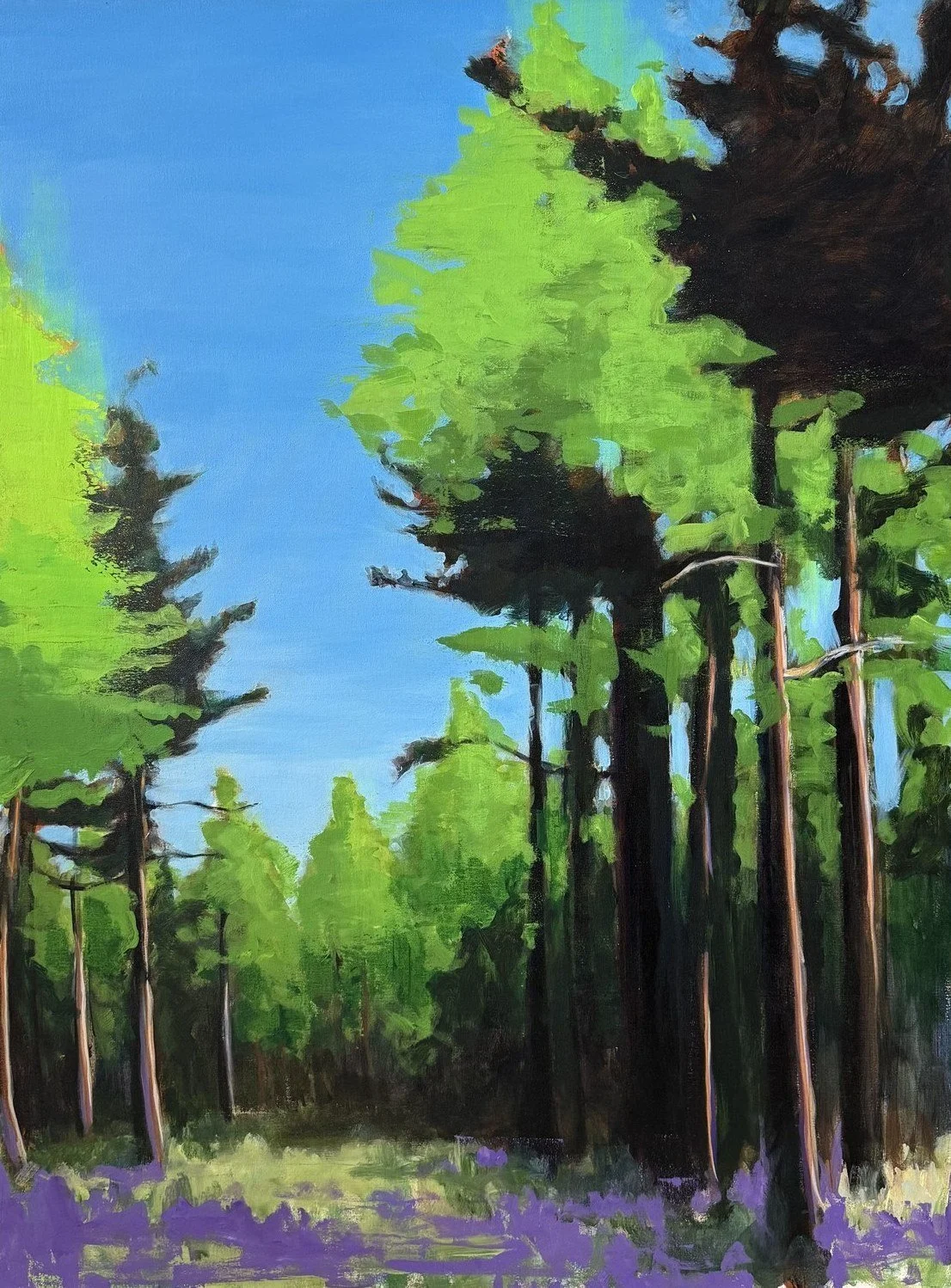 Cheryl Zahniser 
 Macdoel  
48x36 
acrylic on canvas 
$3,600