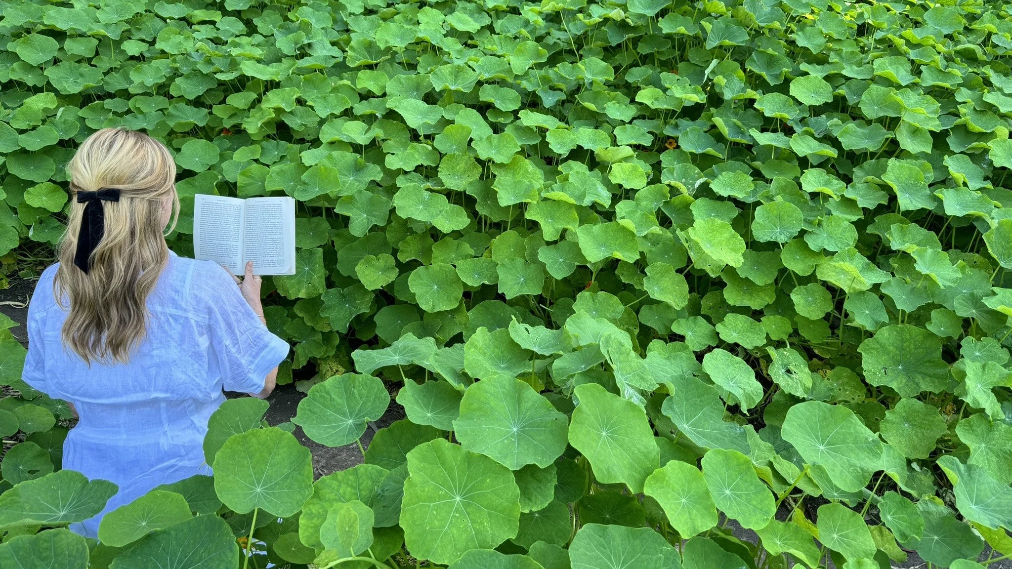 A woman with blonde hair, wearing a white shirt and a black hair ribbon, sitting among large green leaves and reading a book.