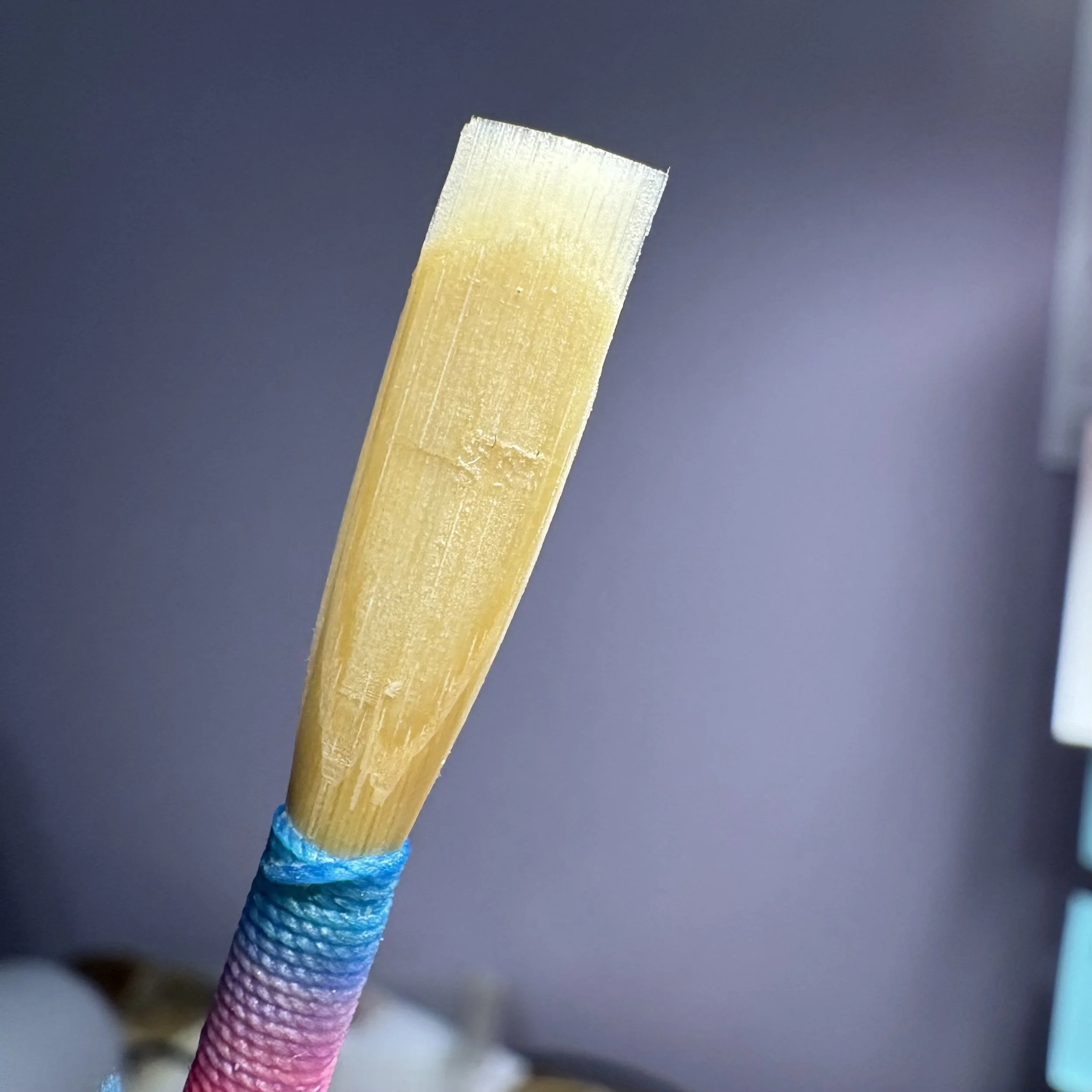 Reedmaker Spotlight Reed