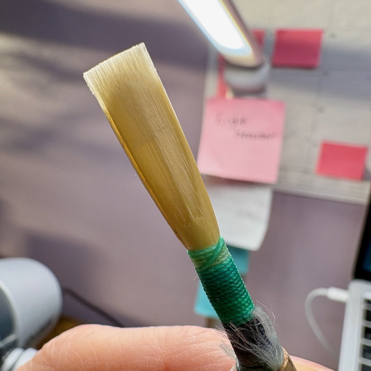 Reedmaker Spotlight Reed