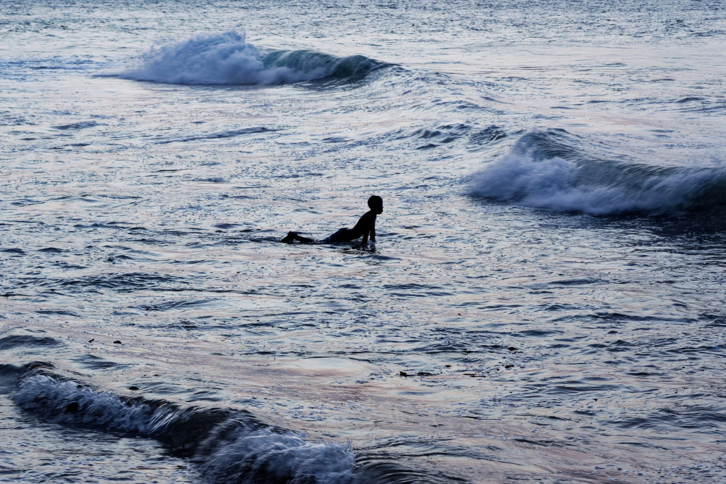 DSC04224_DxO_DxO.jpg