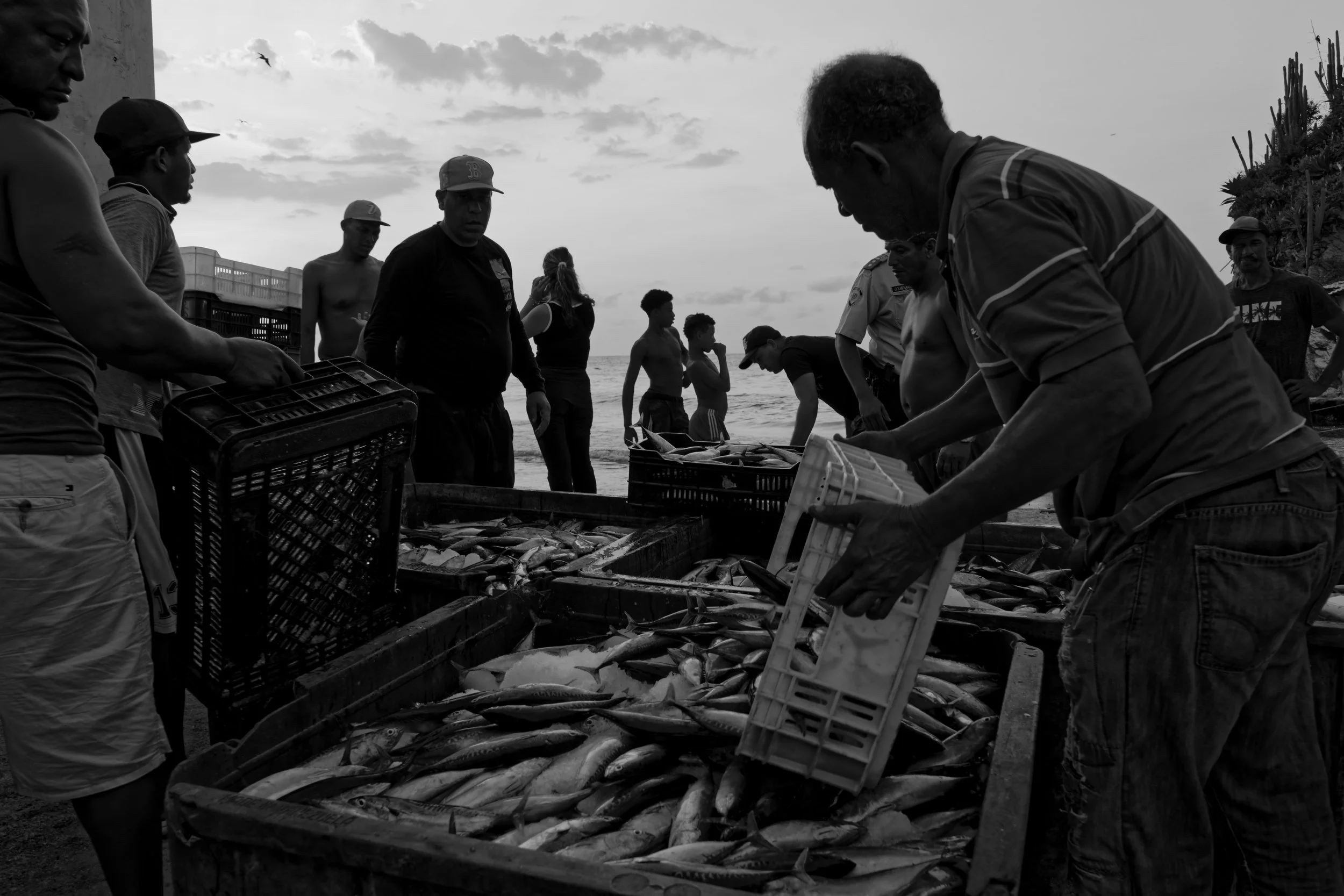 DSC04140_DxO_DxO.jpg