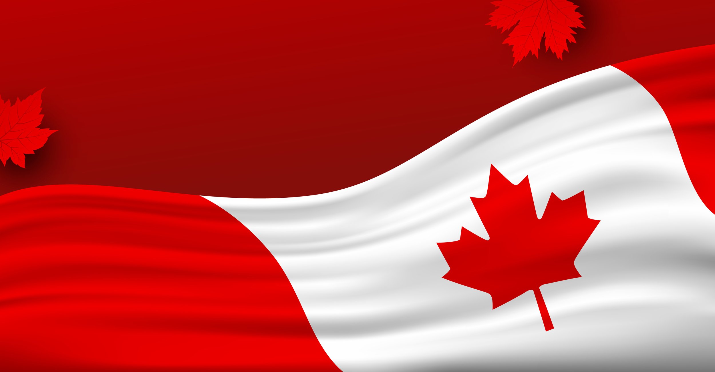 True North, Strong Businesses: A Proud Canadian Blueprint for Stability