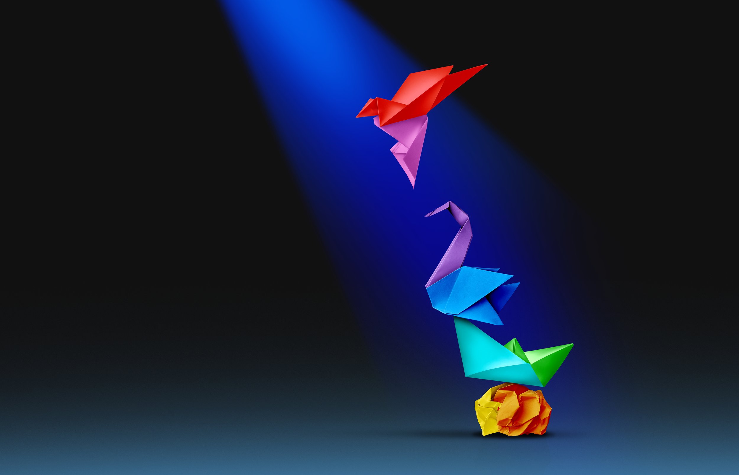 Vision to Revision: Sustaining Your Organization’s Winning Habits