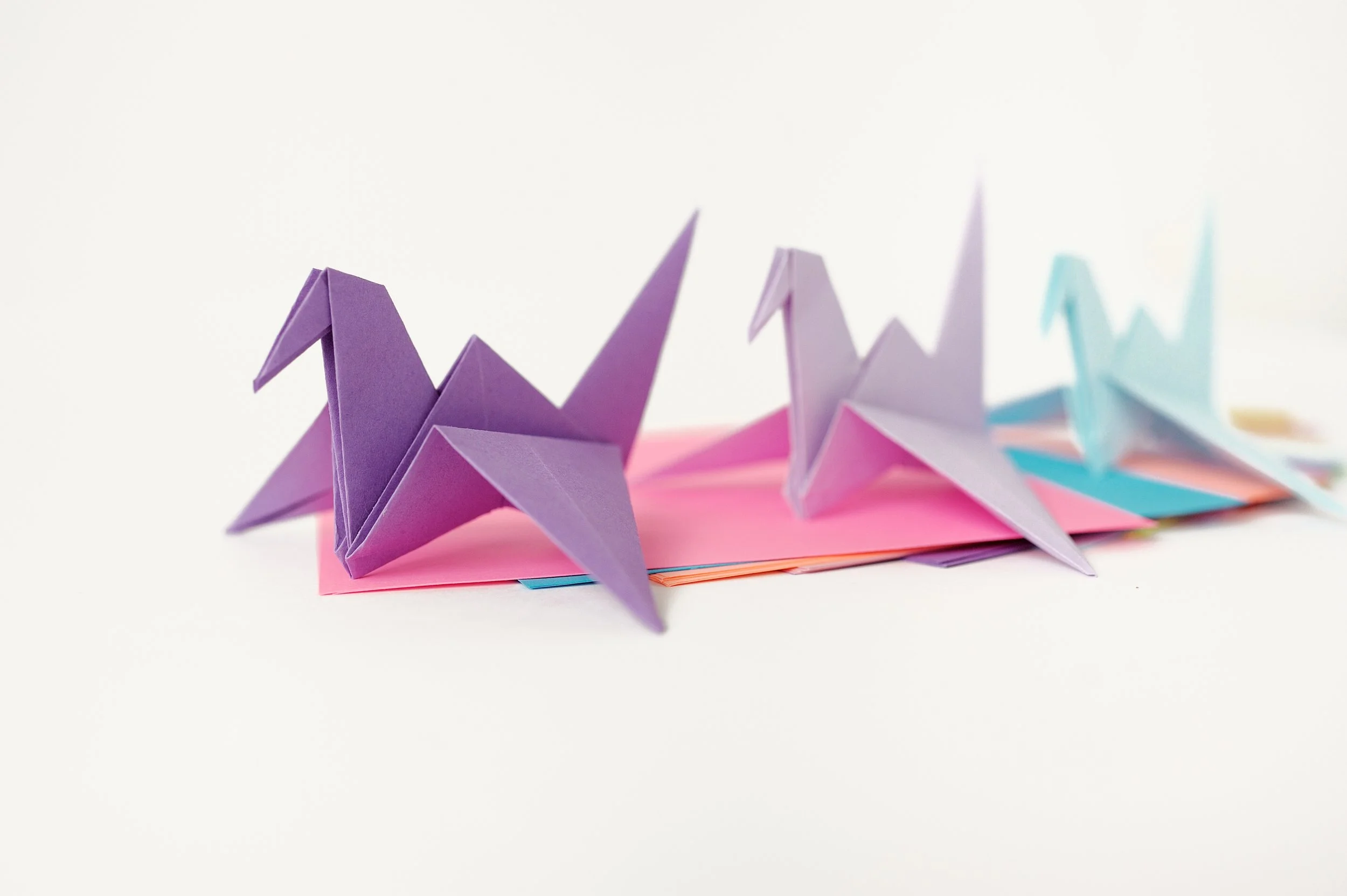 Working the System: Aligning People, Processes, and Elements