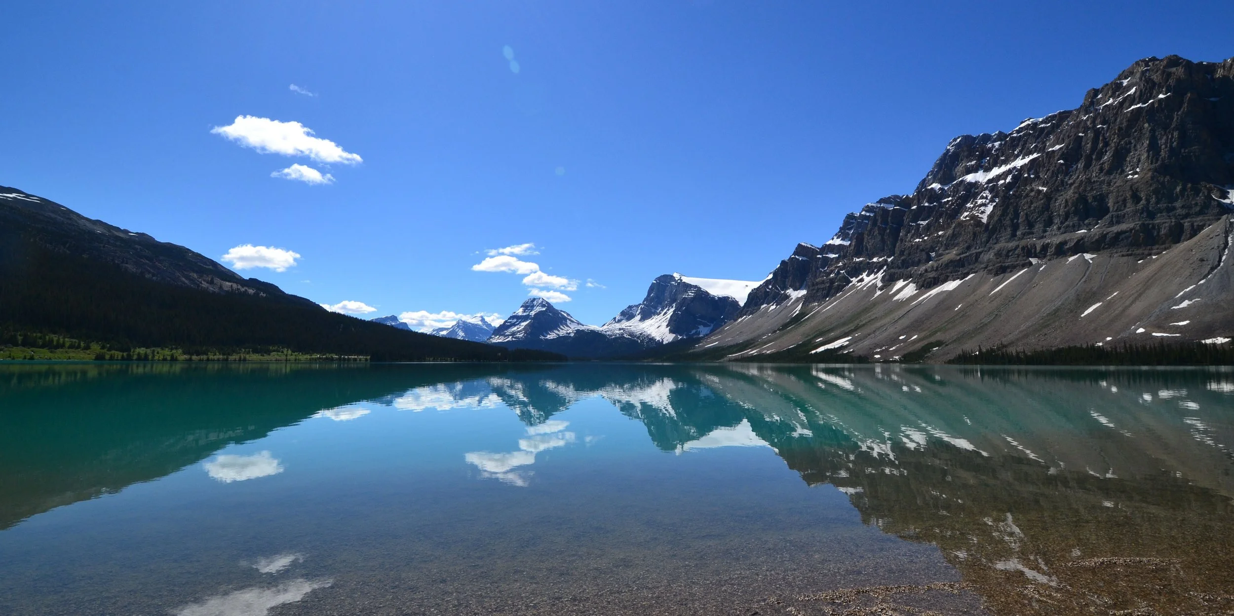 The Elegance of a Targeted Operating Model: Learning from Mountain Ecosystems