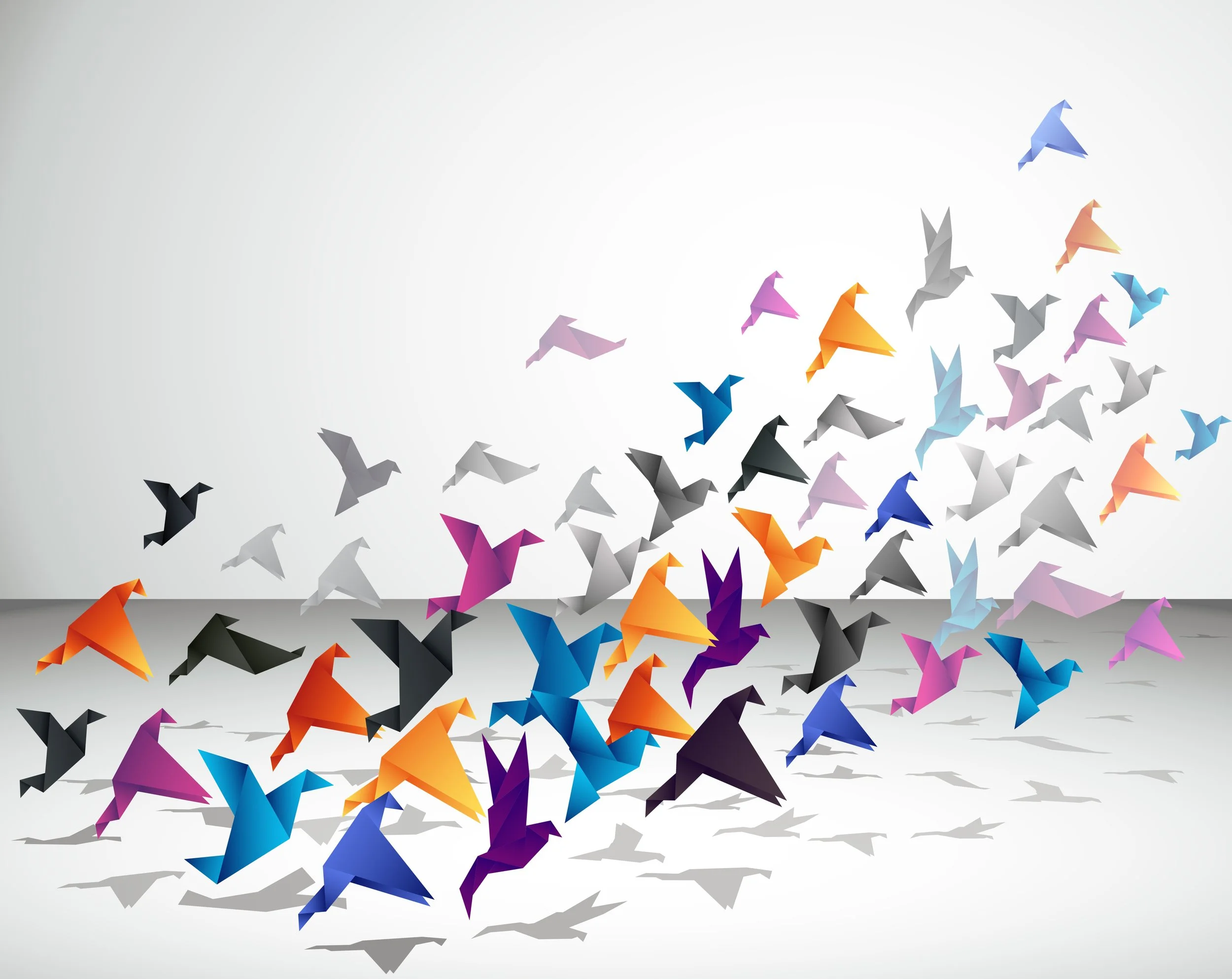 Stories of Our 22 Basics