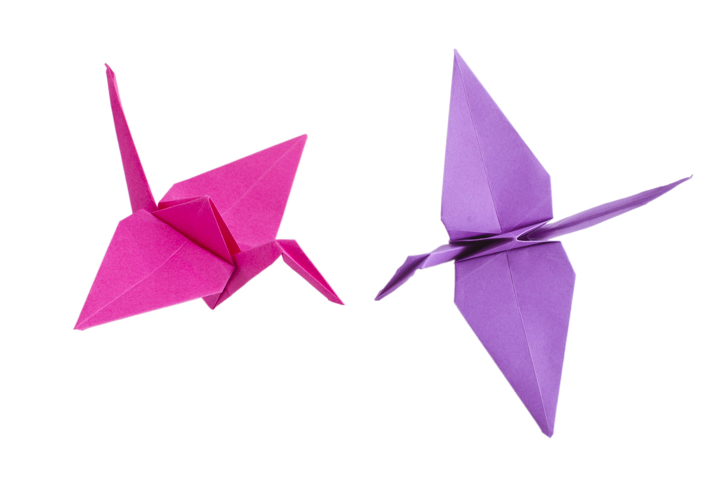 Leading the Enterprise Forward: Why Management Builds Stability and Leadership Builds Momentum