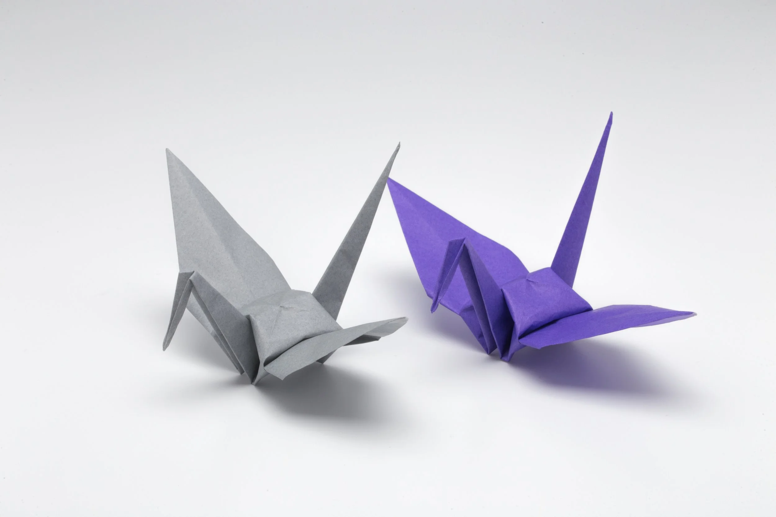 When Words and Actions Diverge, Culture Follows the Gap