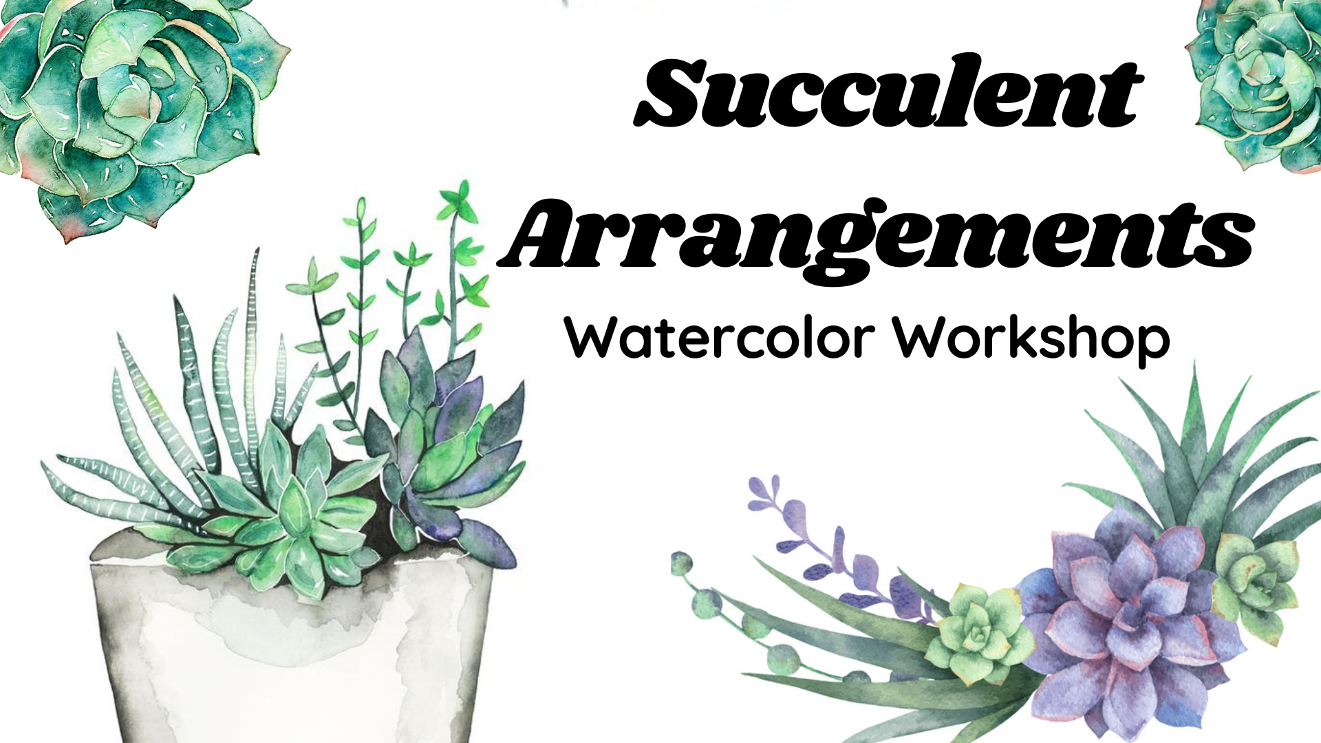 Succulent Arrangements