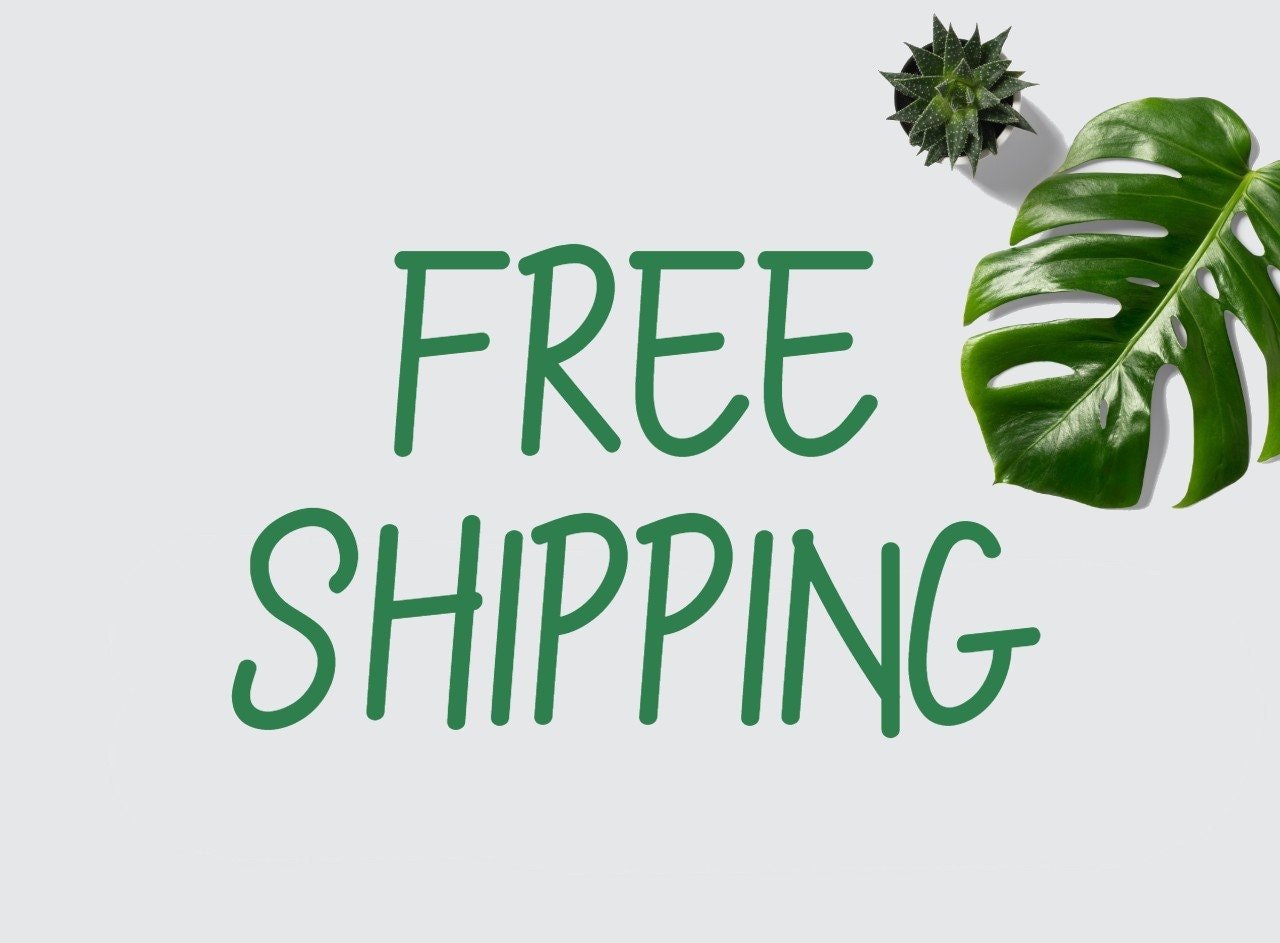 https://i.etsystatic.com/23078869/r/il/90559d/2858740554/il_fullxfull.2858740554_jd5a.jpg