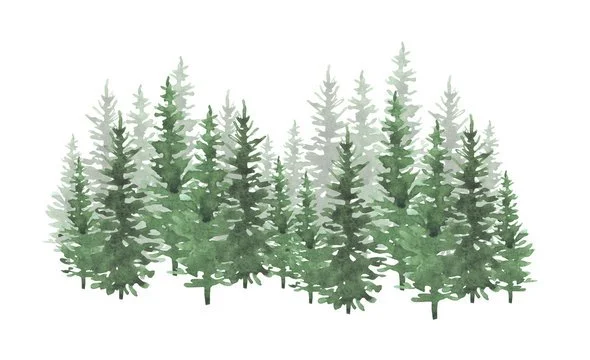 pines 1.jpg