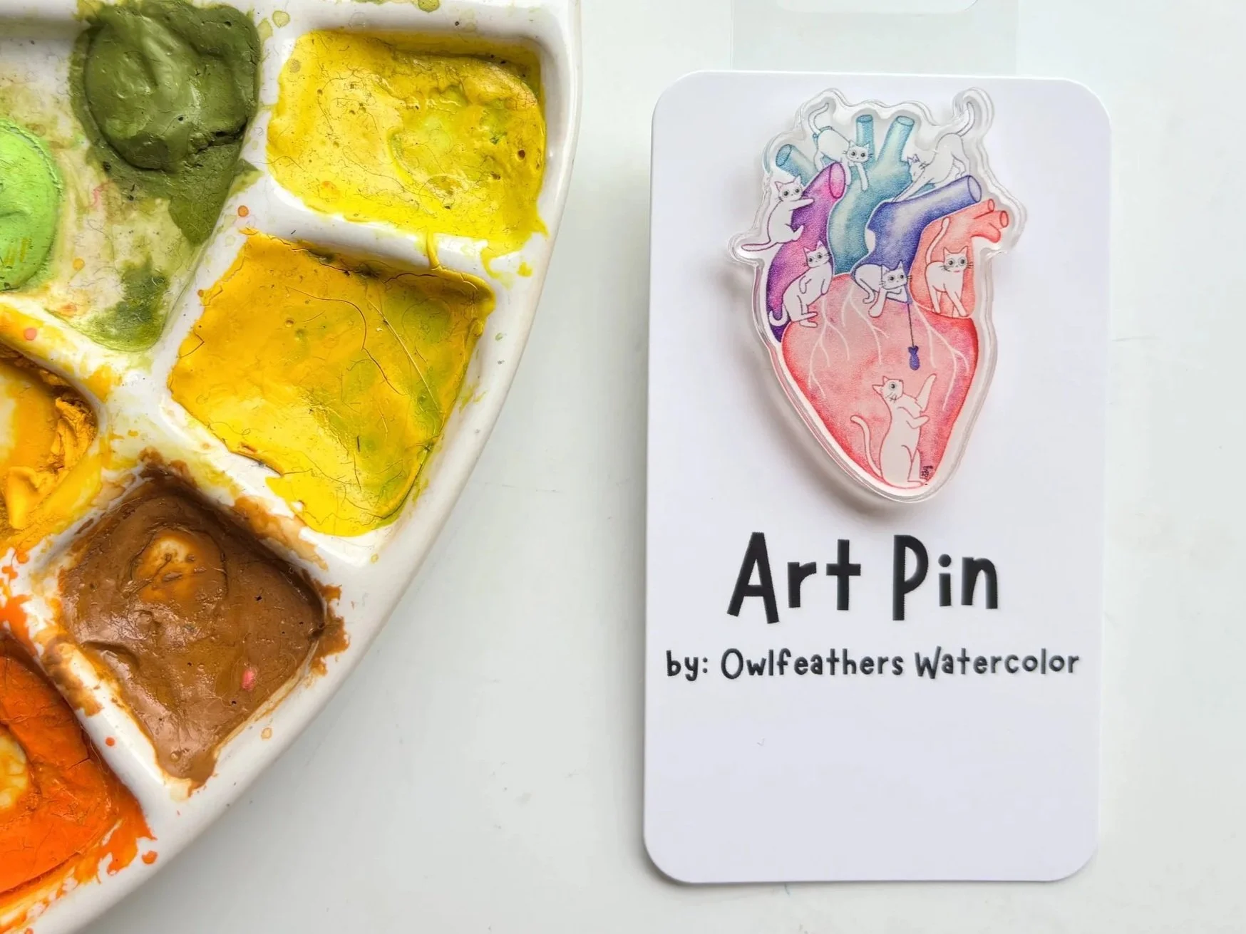 Anatomical Cat Heart Acrylic Pin