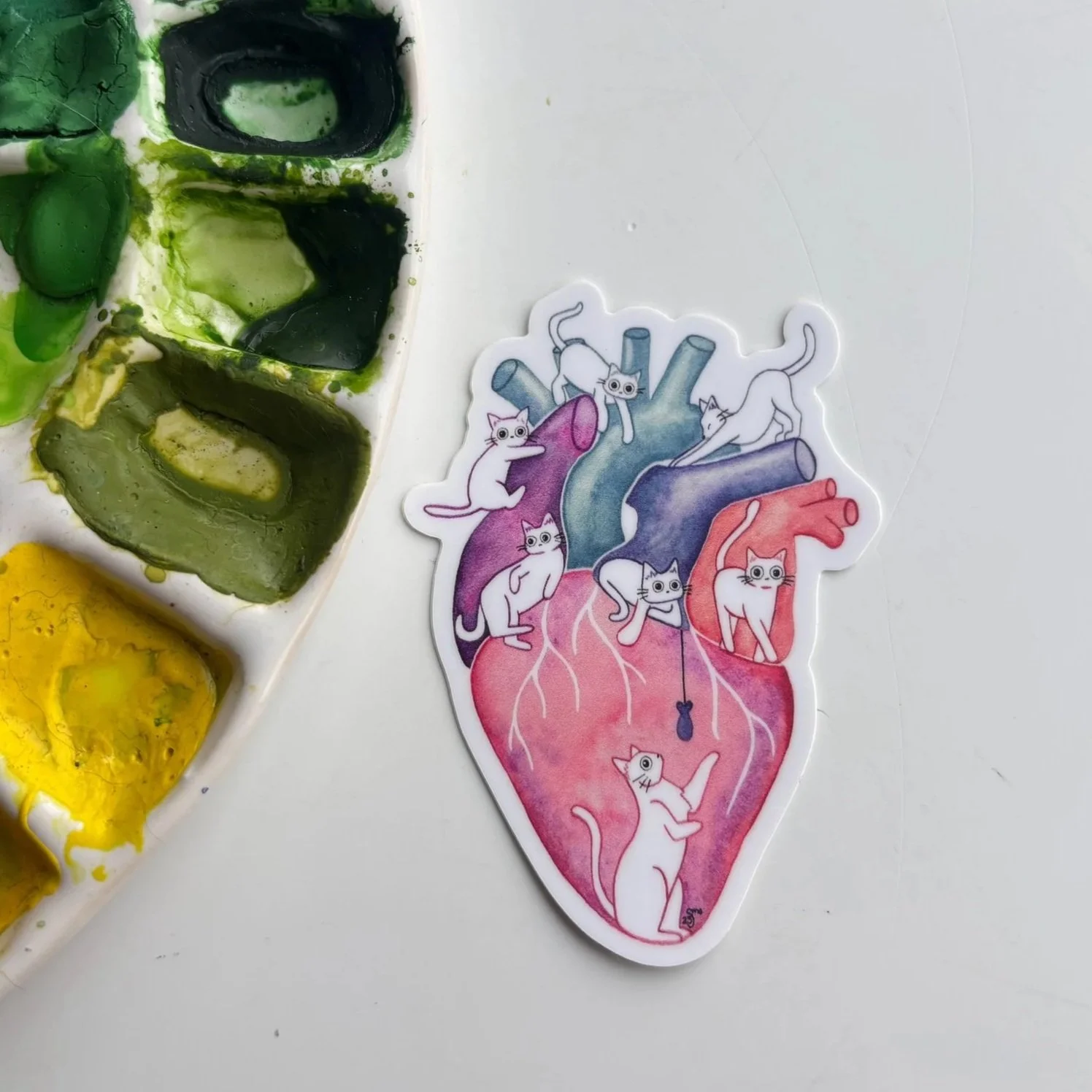 Anatomical Heart Cat Watercolor Sticker – Playful Feline Medical Art