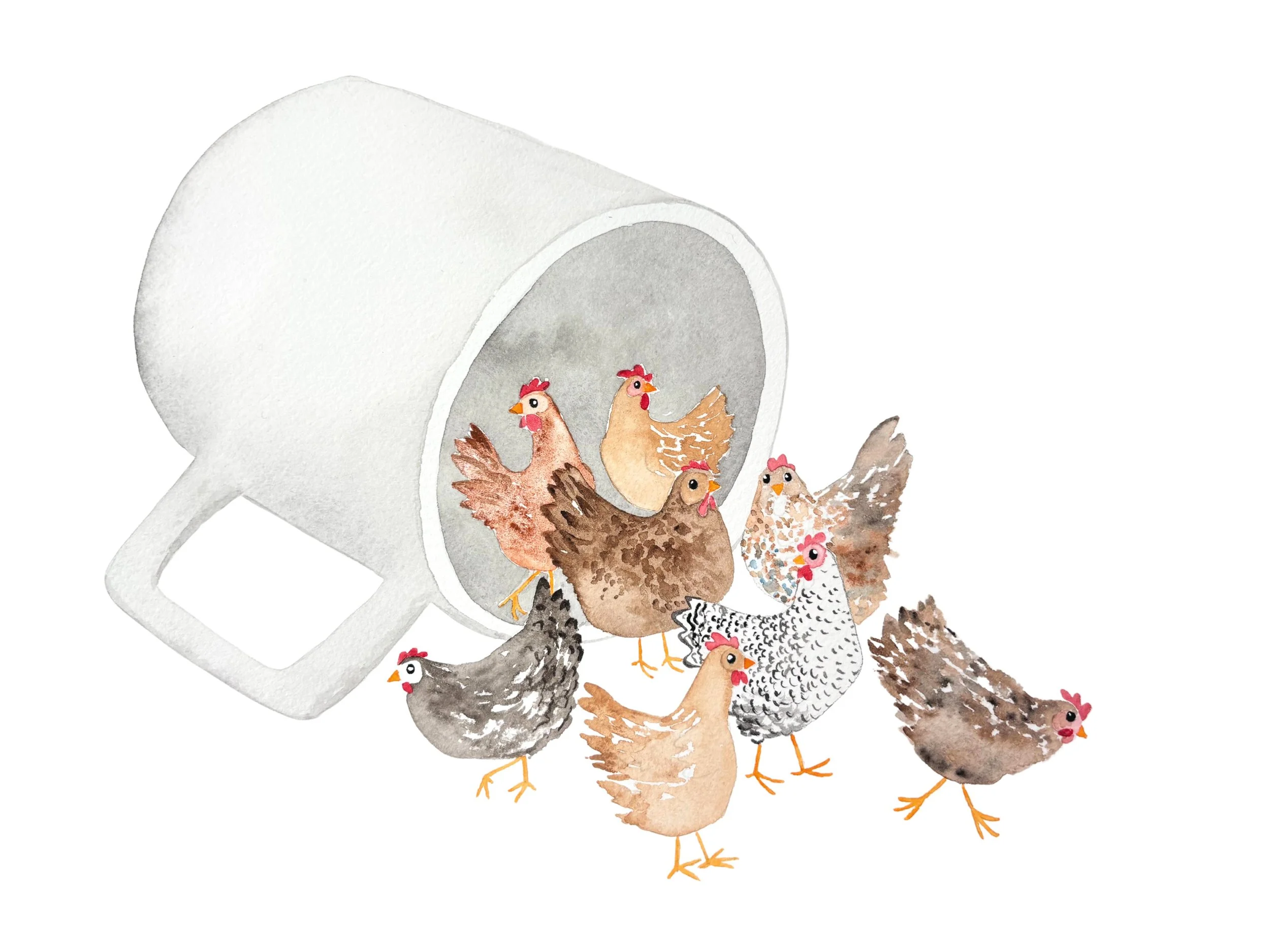 Chickens White.jpg