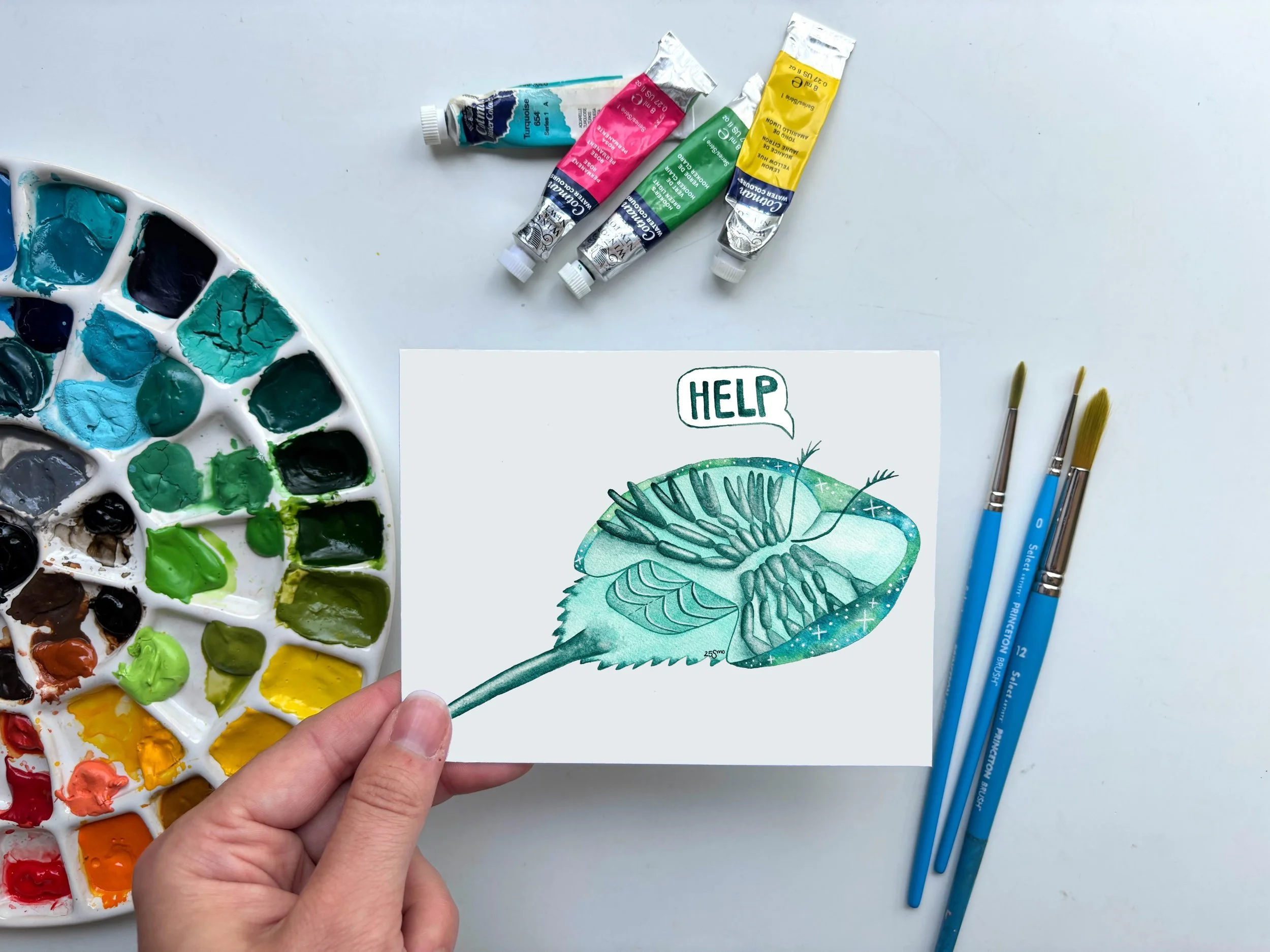 Horseshoe Crab Card.jpg