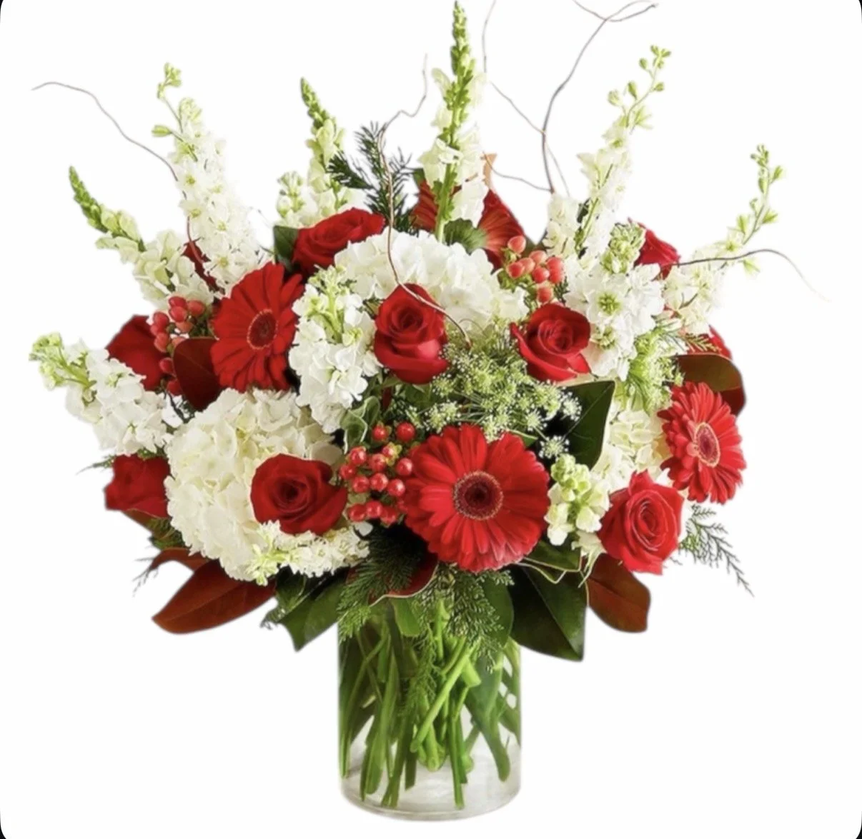 Mrs. Clause Christmas