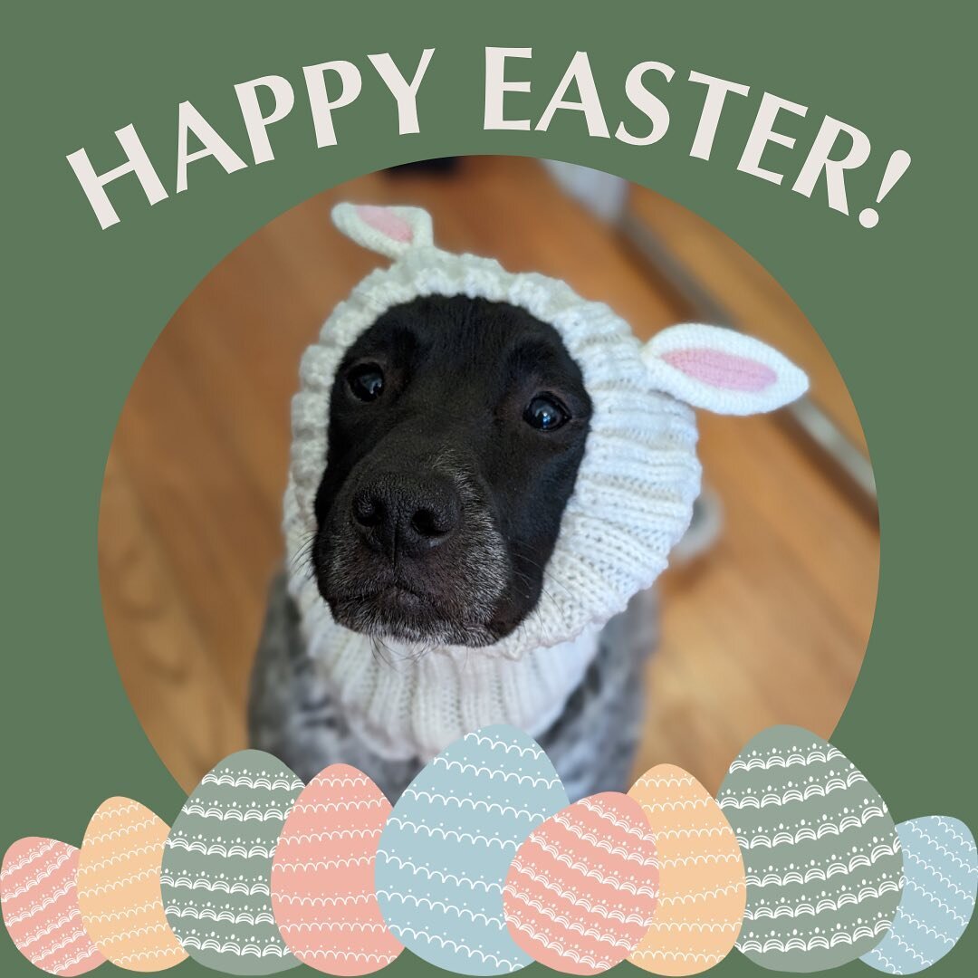 Hope everyone had a great Easter weekend!