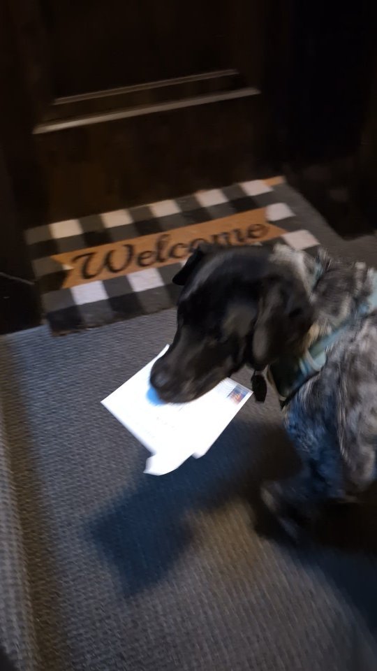 Happy Mail Monday!