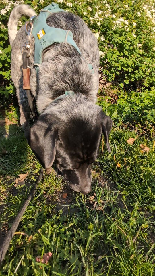 Happy Sniffing Saturday!