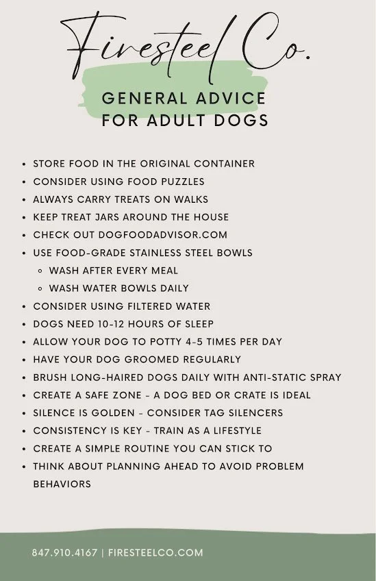 General Suggestions for Adult Dogs.jpg