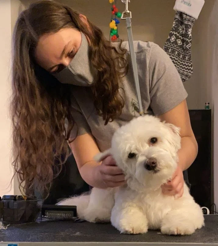 Screenshot 2024-11-15 at 8.35.06 AM.jpg