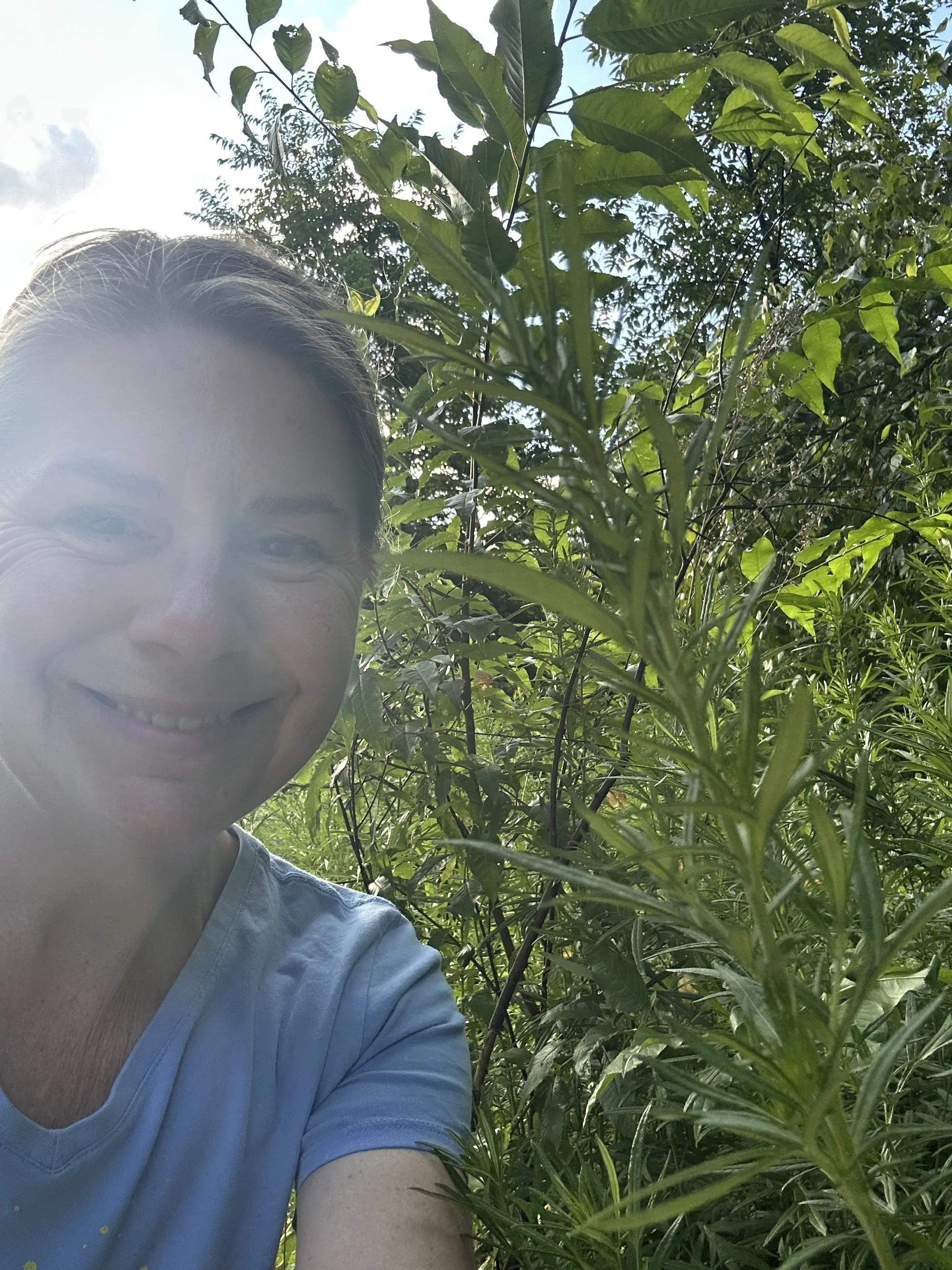 Introduction to Herbalism