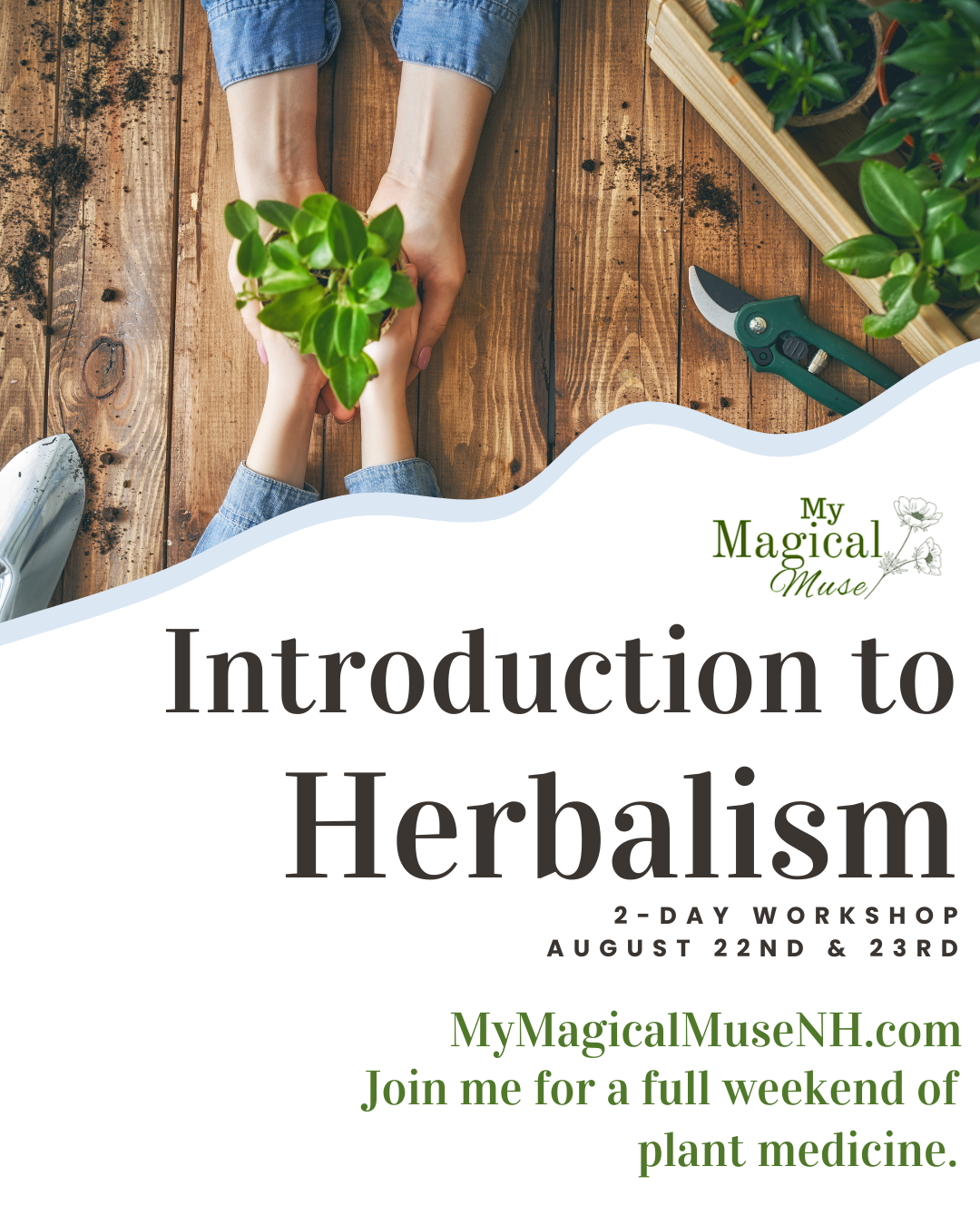 Introduction to Herbalism