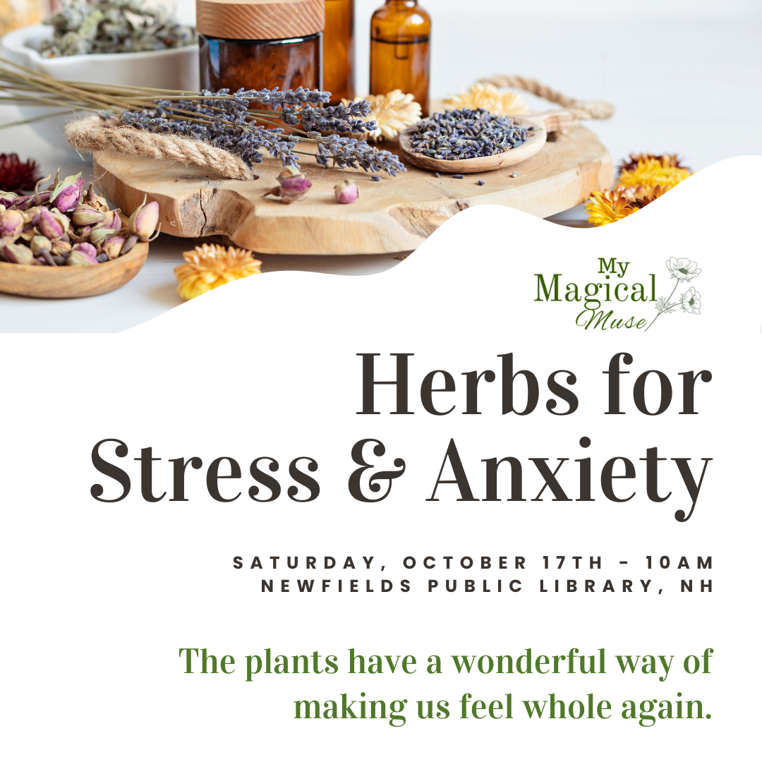 Herbs for Stress & Anxiety Workshop
