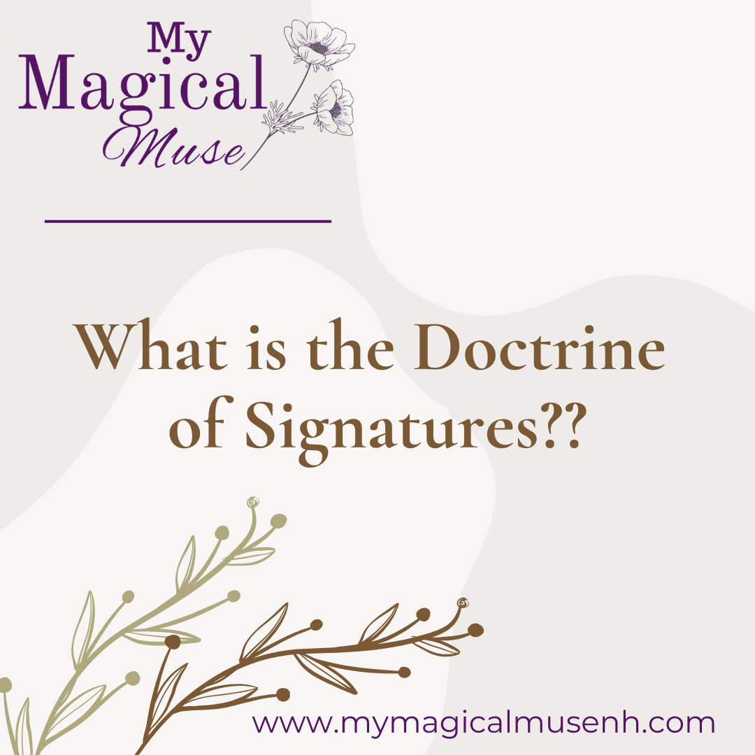 The Doctrine of Signatures & Plant Symbolism Workshop
