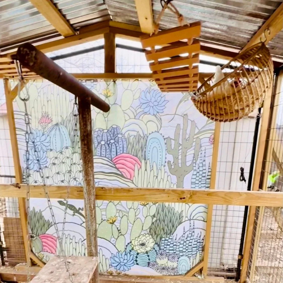 Repurposed Coop Build