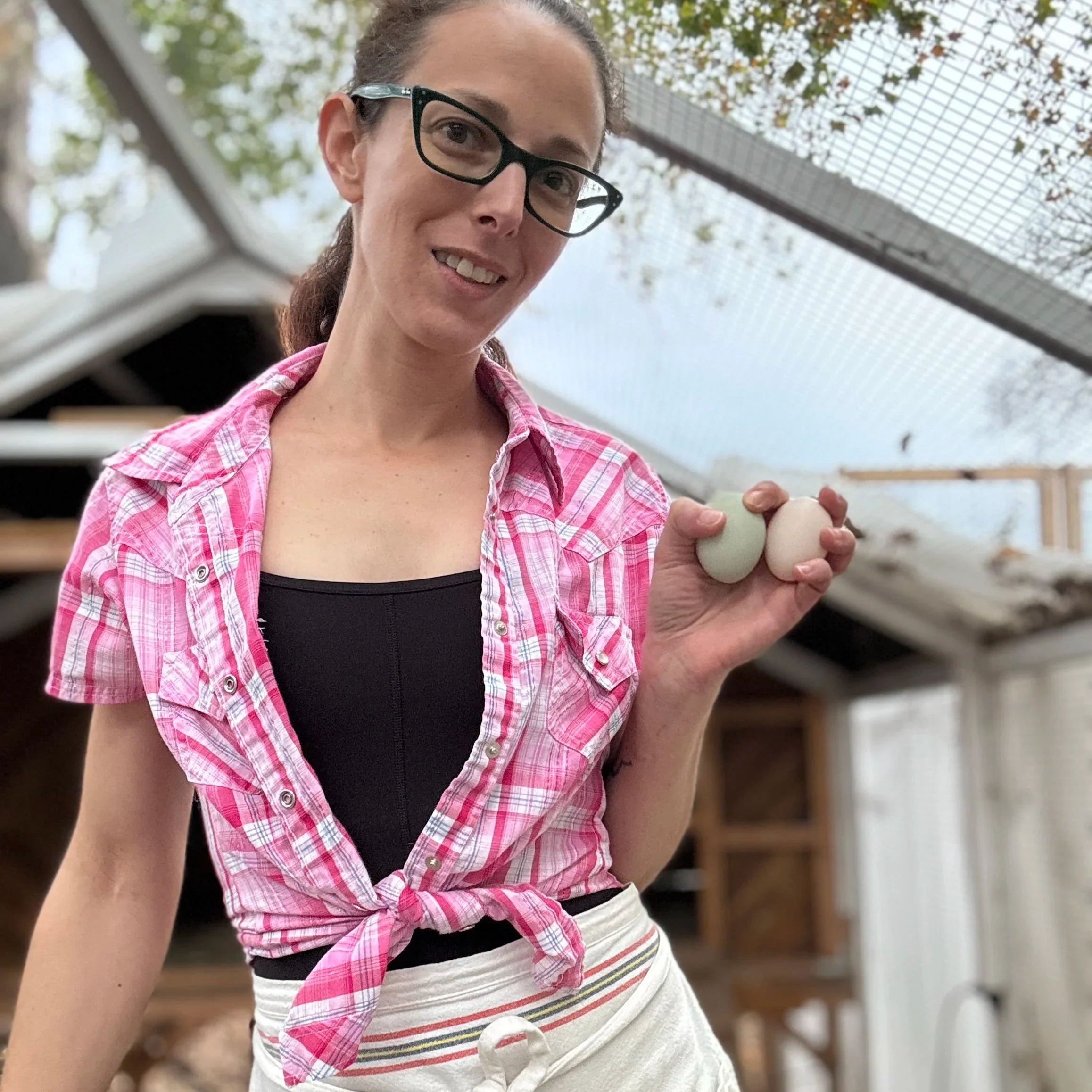 Farmer Finnie Egg Gathering