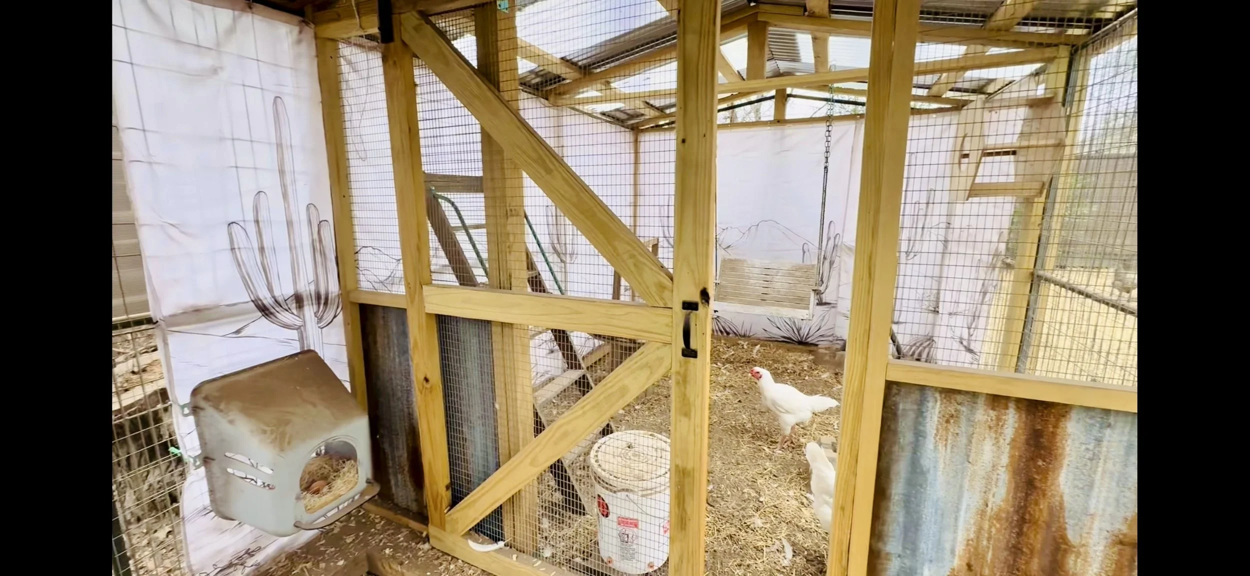 Repurposed Coop Build Divider