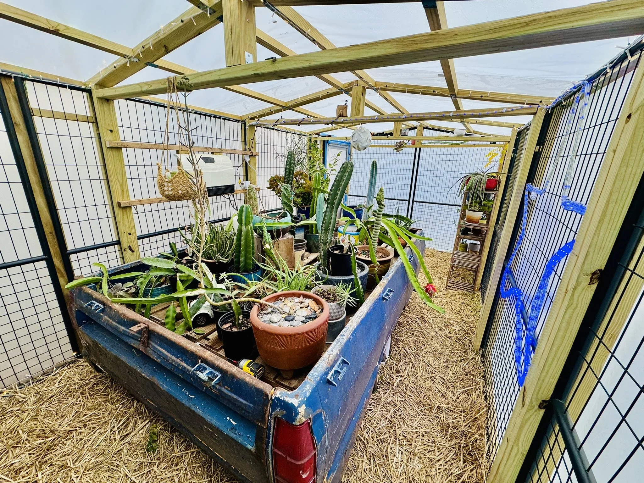 Greenhouse View