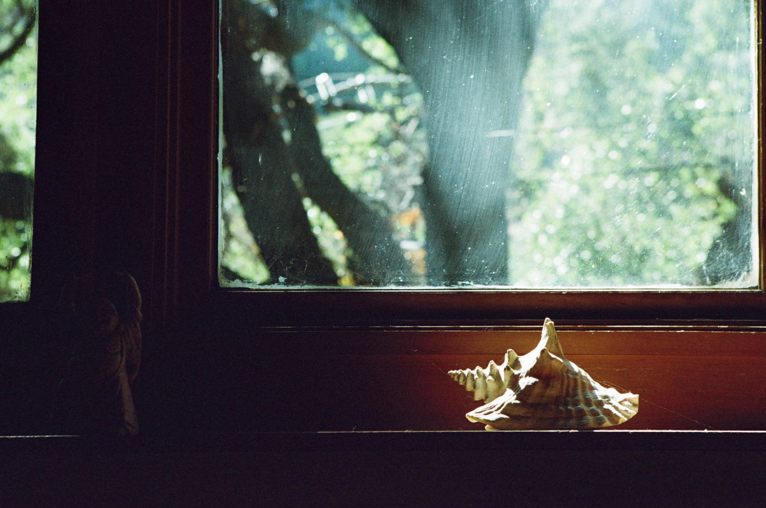 37200006.jpg