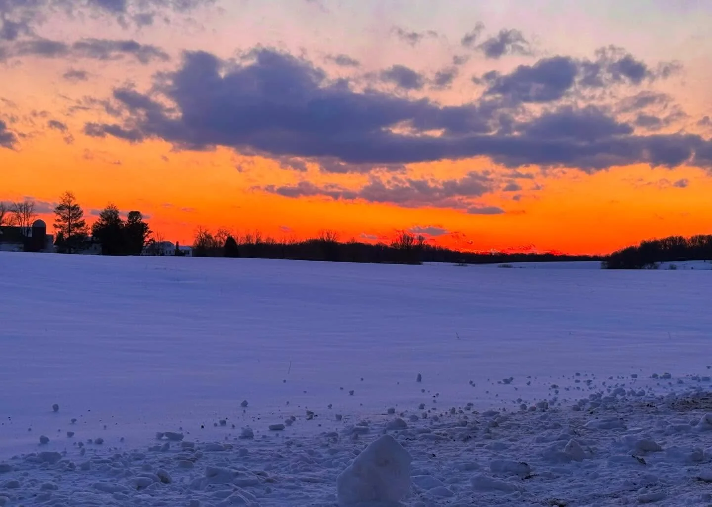 We&rsquo;ve been very quiet here for a while as we bring to life more surprises and changes. A little sneak peek to some of the new residents, and of course, the winter wonderland that is always Bela Vista.