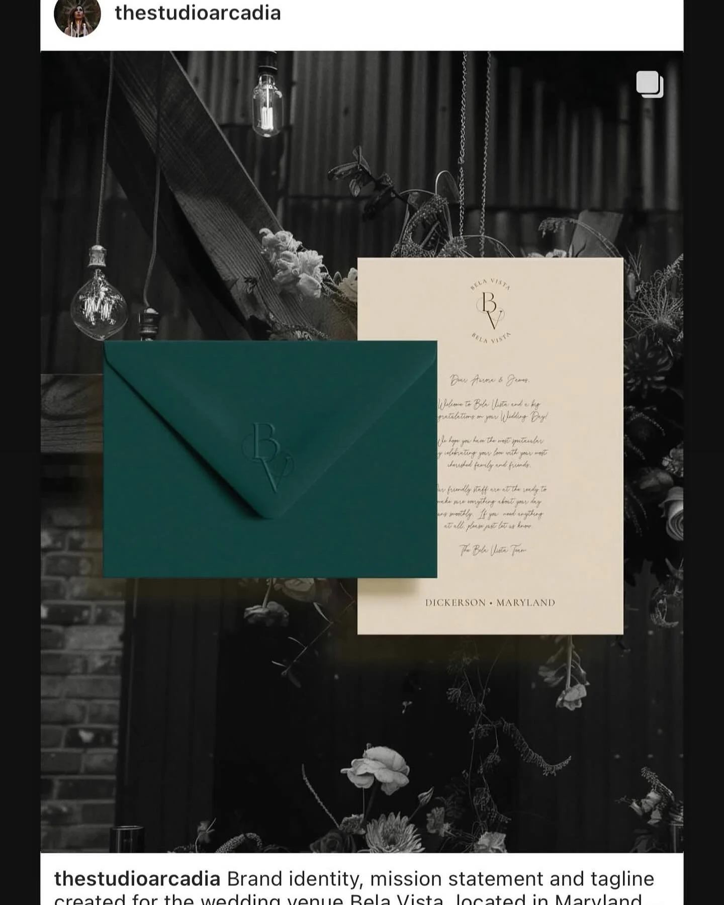 Ash at @thestudioarcadia did such a beautiful job at capturing everything our space embodies with our brand and marketing suite!