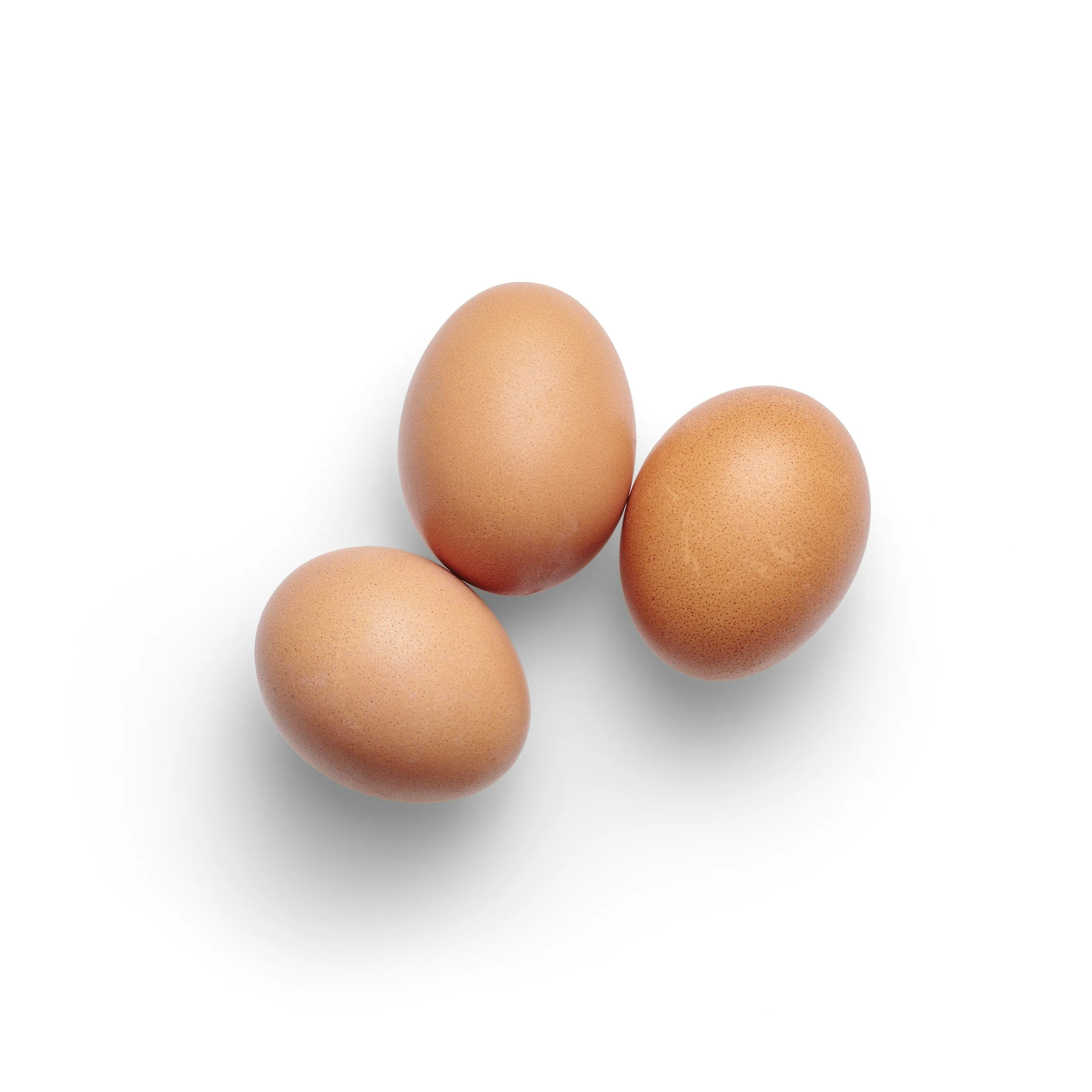 EGG COOKERY