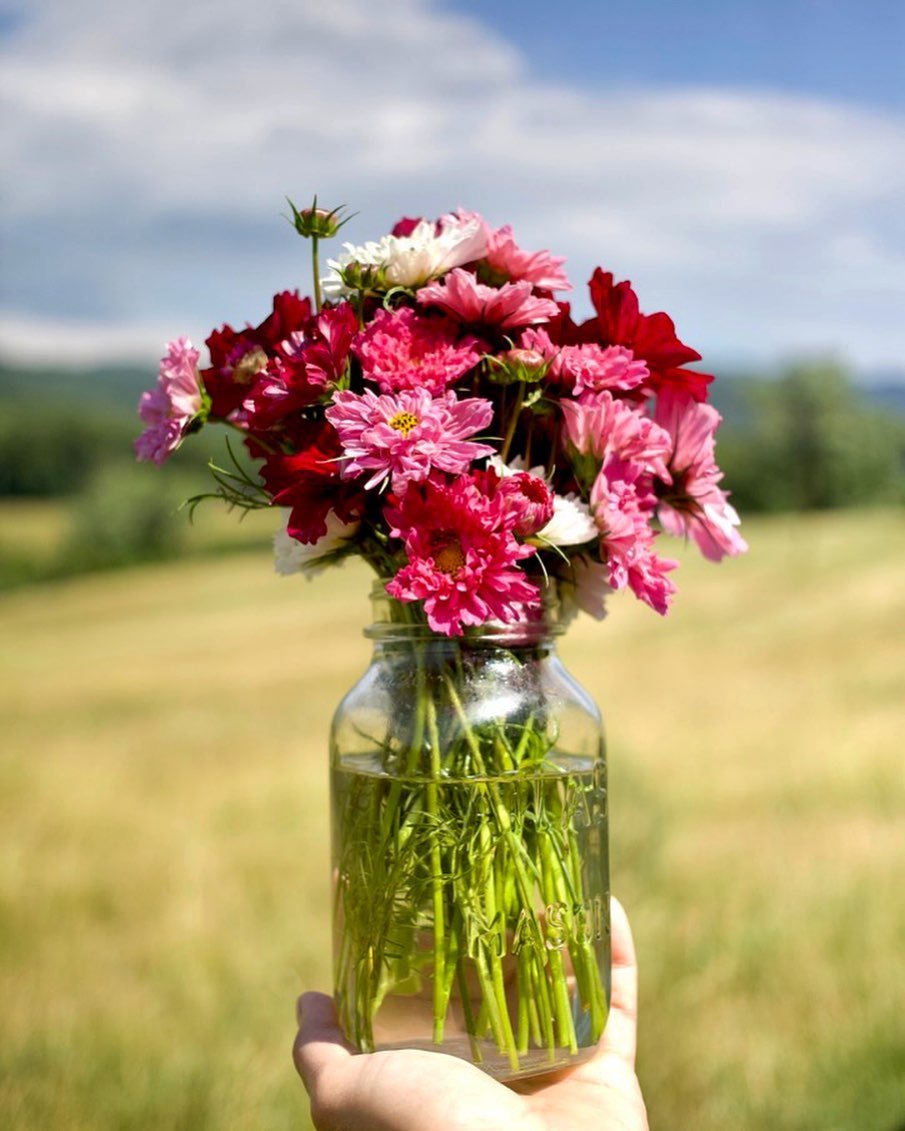 Windy day bouquet #littleskylinefarm #nelsoncountyvirginia #blueridgemountains #flowers