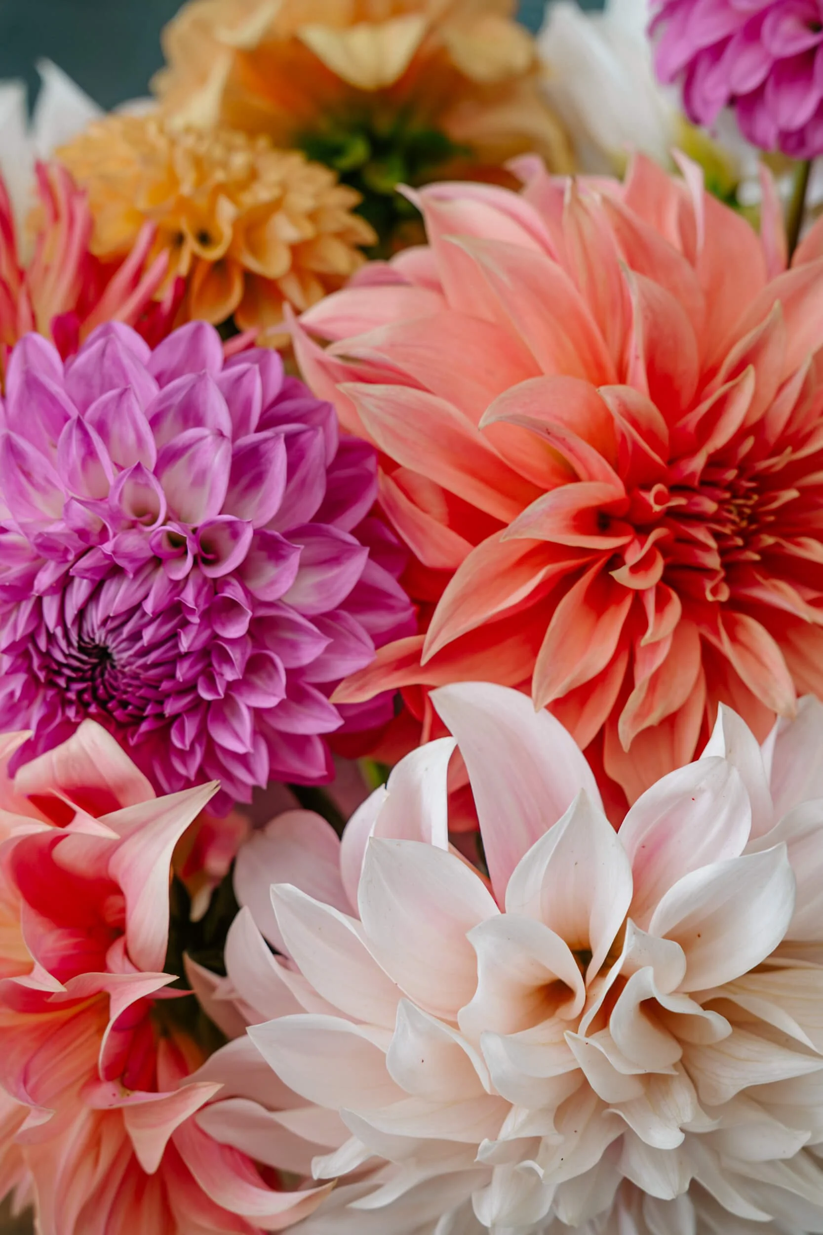 146A3448-Enhanced-NR.jpg