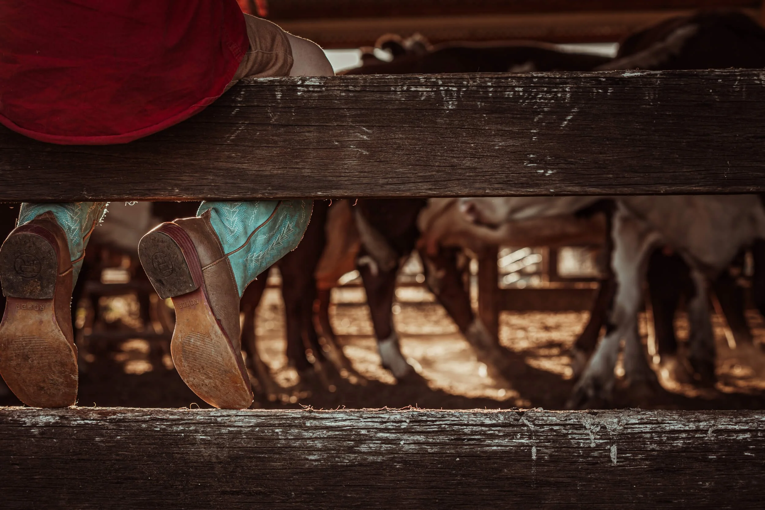 146A6249-Enhanced-NR.jpg