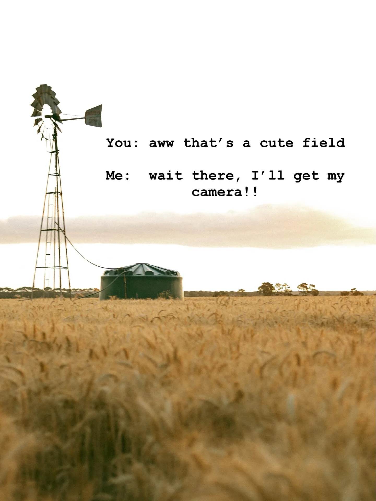 POV: you booked a photo shoot in the back paddock as the sun was going down and it was GLORIOUS!

Don&rsquo;t dream it. Do it. 

Simplicity + Magic = real connection, naturally captured. 🫶🏻
.
.
.
.
Edwina is a rural lifestyle and family photographe